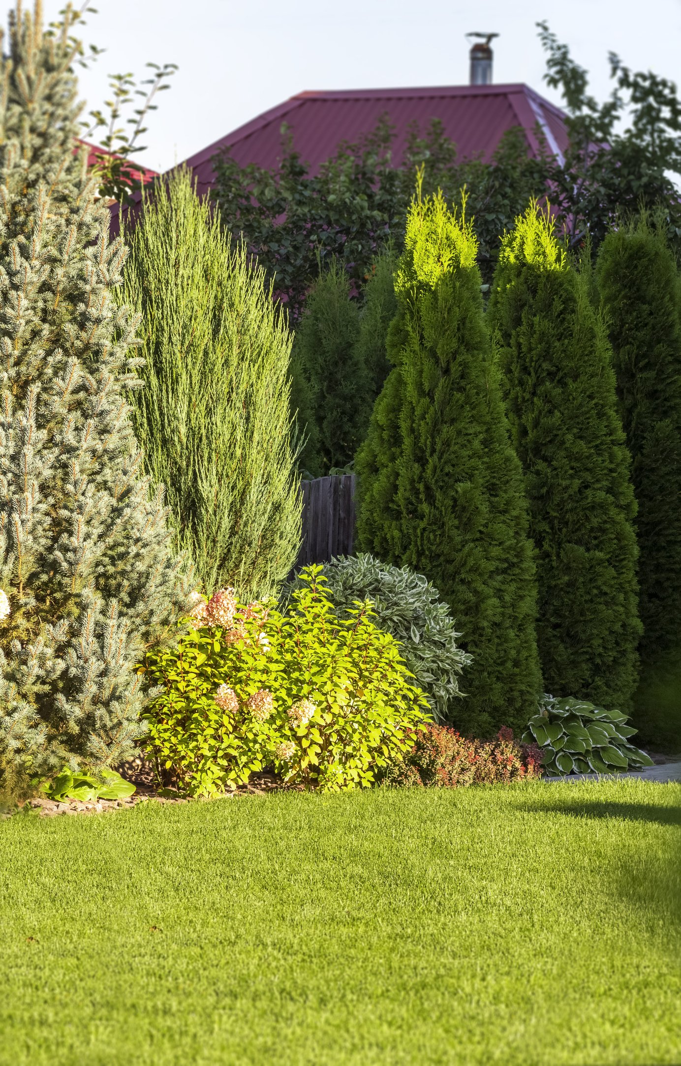 A well-maintained backyard garden with a lush green grass lawn, various bushes, and trees, with a house featuring a red roof in the background.
