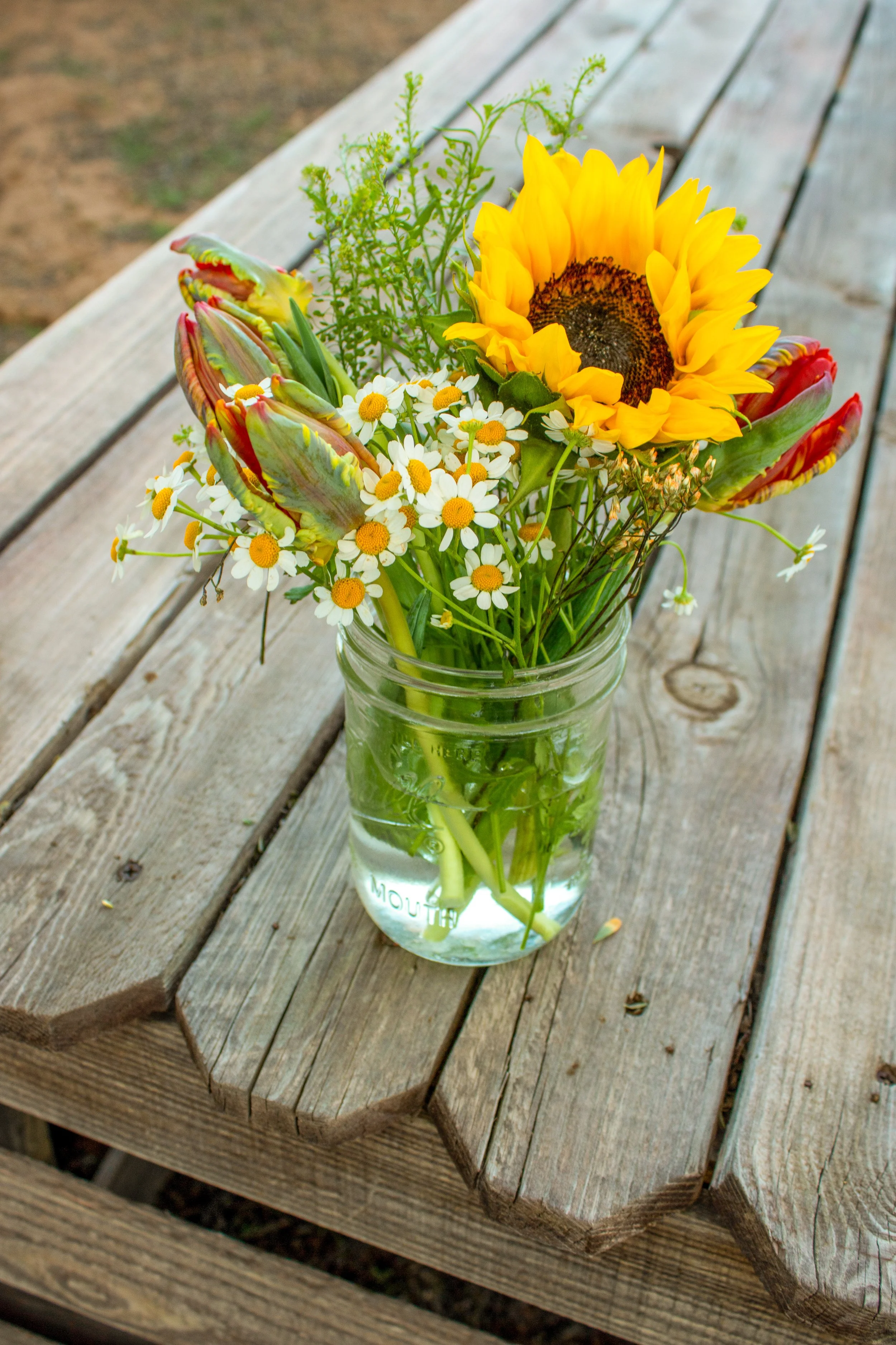 A bouquet of flowers with a sunflower, small white daisies, and red-tipped tulips in a glass jar on a weathered wooden outdoor table.
