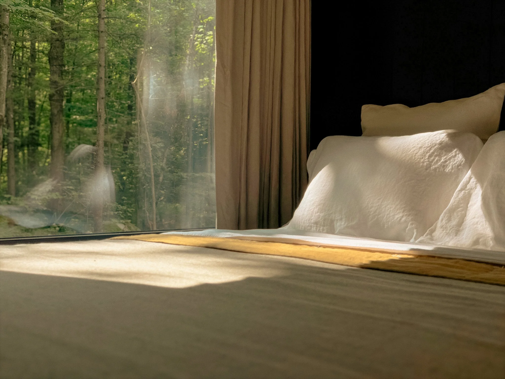 Close-up of a bed with beige bedspread and pillows, with a large window showing a lush green forest outside, sunlight streaming through the trees.