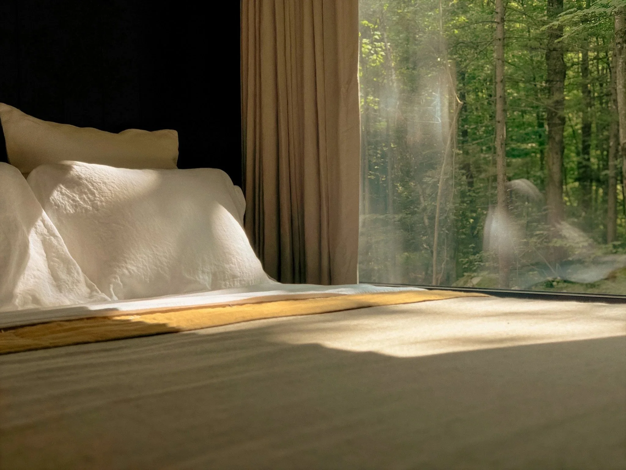 View from inside a room looking out a window at a dense forest of green trees with sunlight filtering through