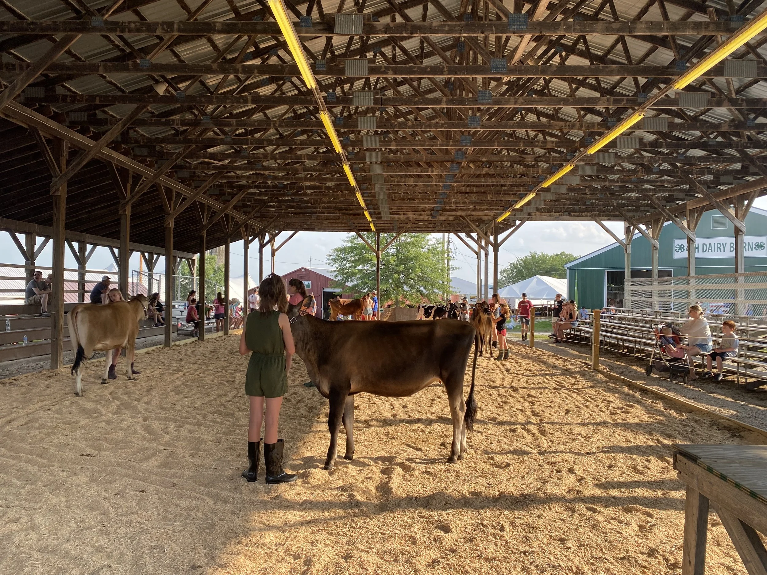 Addison County Fair & Field Days 