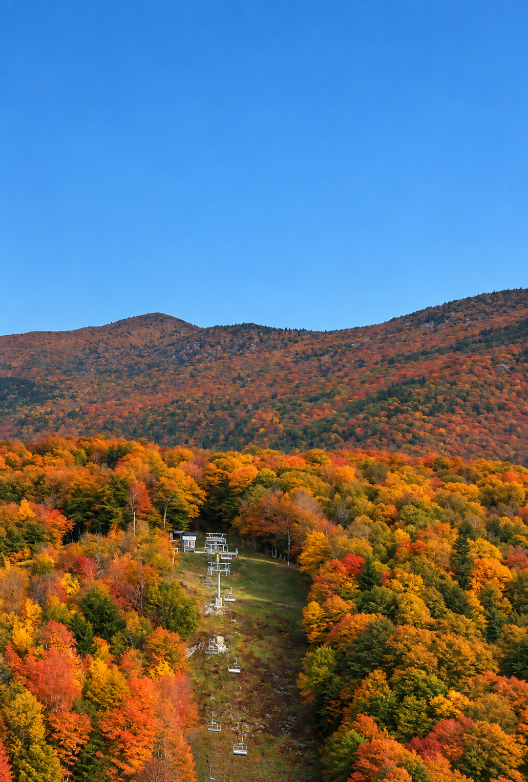 Fall Foliage Ride and Artisan Market at Middlebury Snowbowl