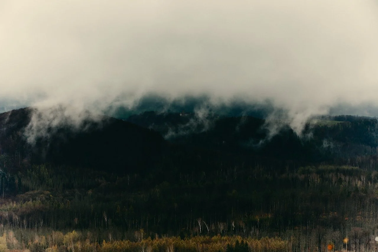Mountains covered in fog with dense forest in the foreground.