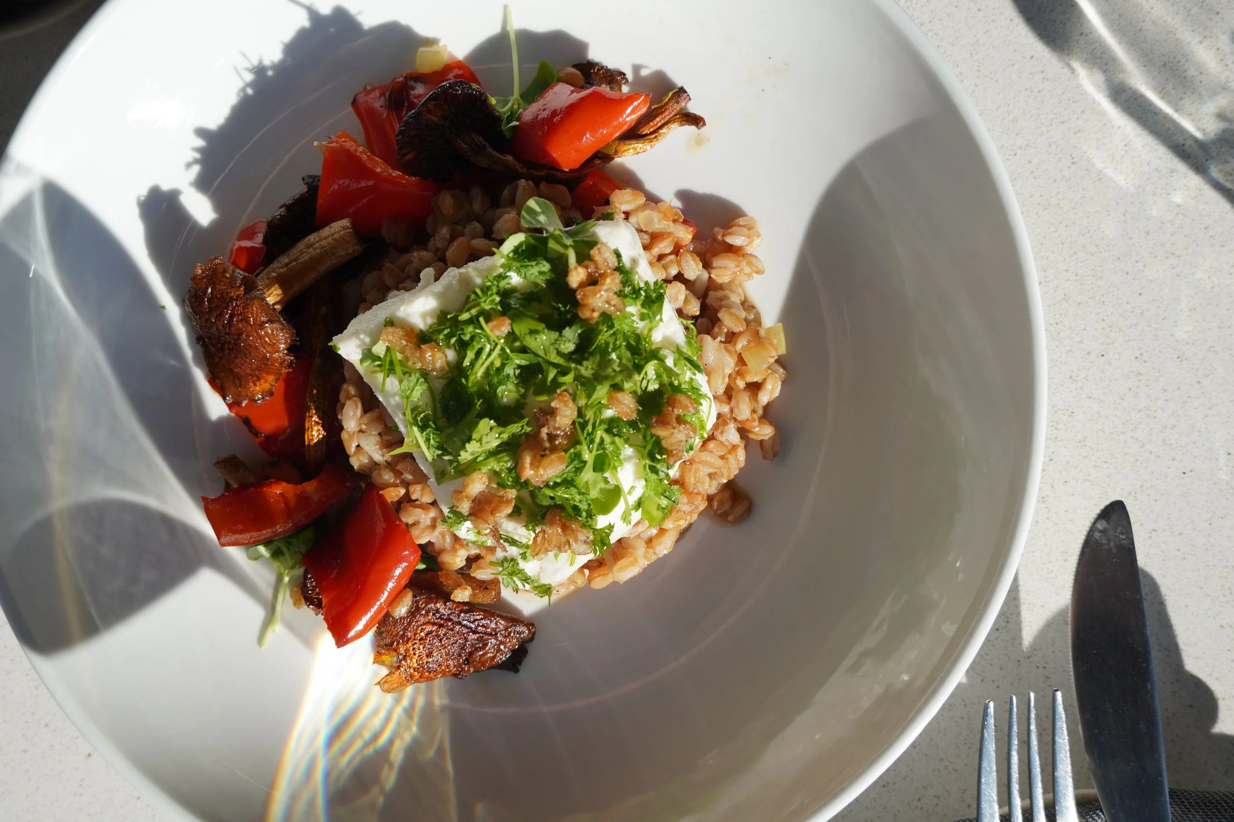 Seasonal dish at Cork Restaurant in Stowe, Vermont — daily changing menu built around local Vermont ingredients