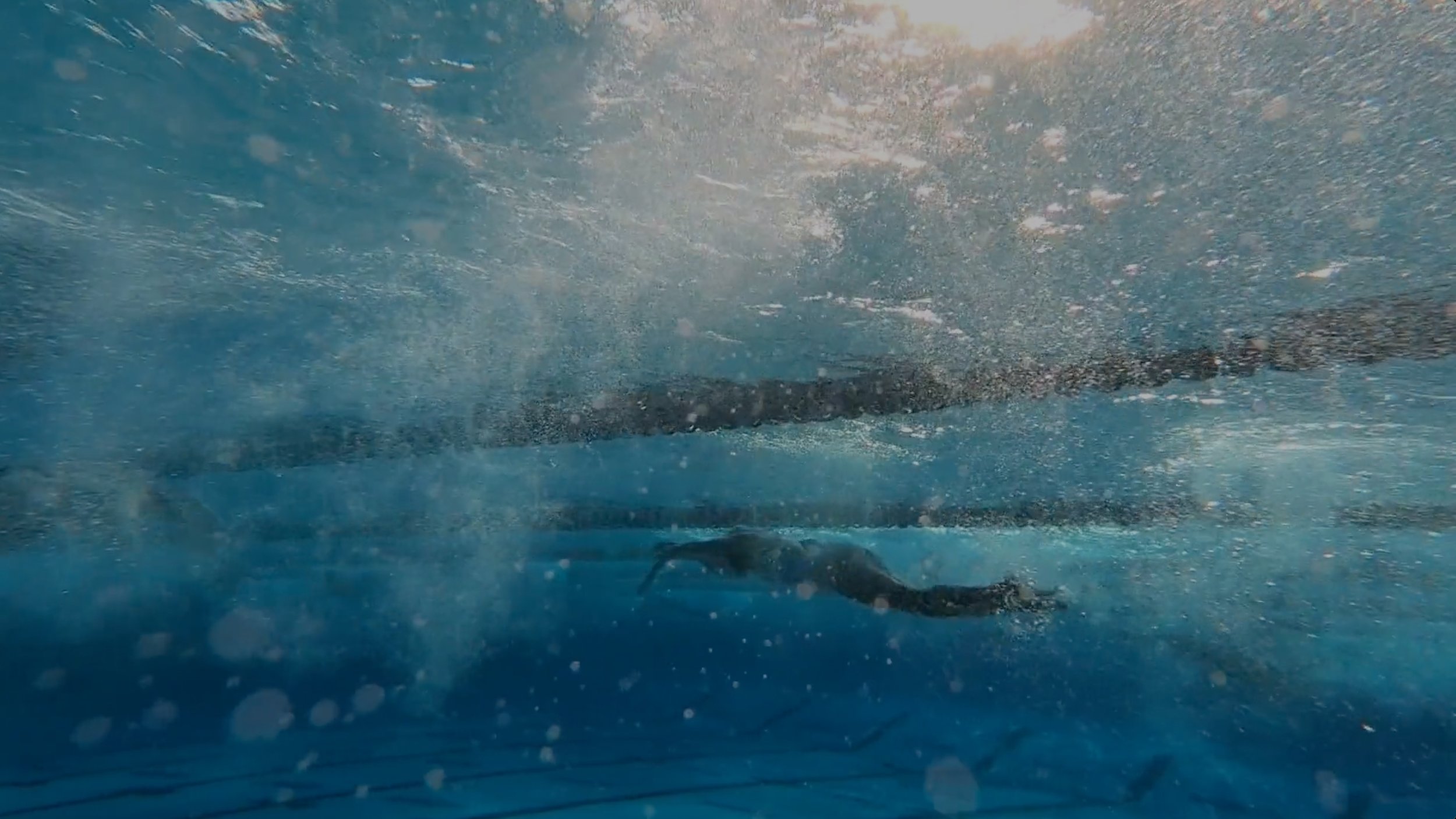 Swim.jpg