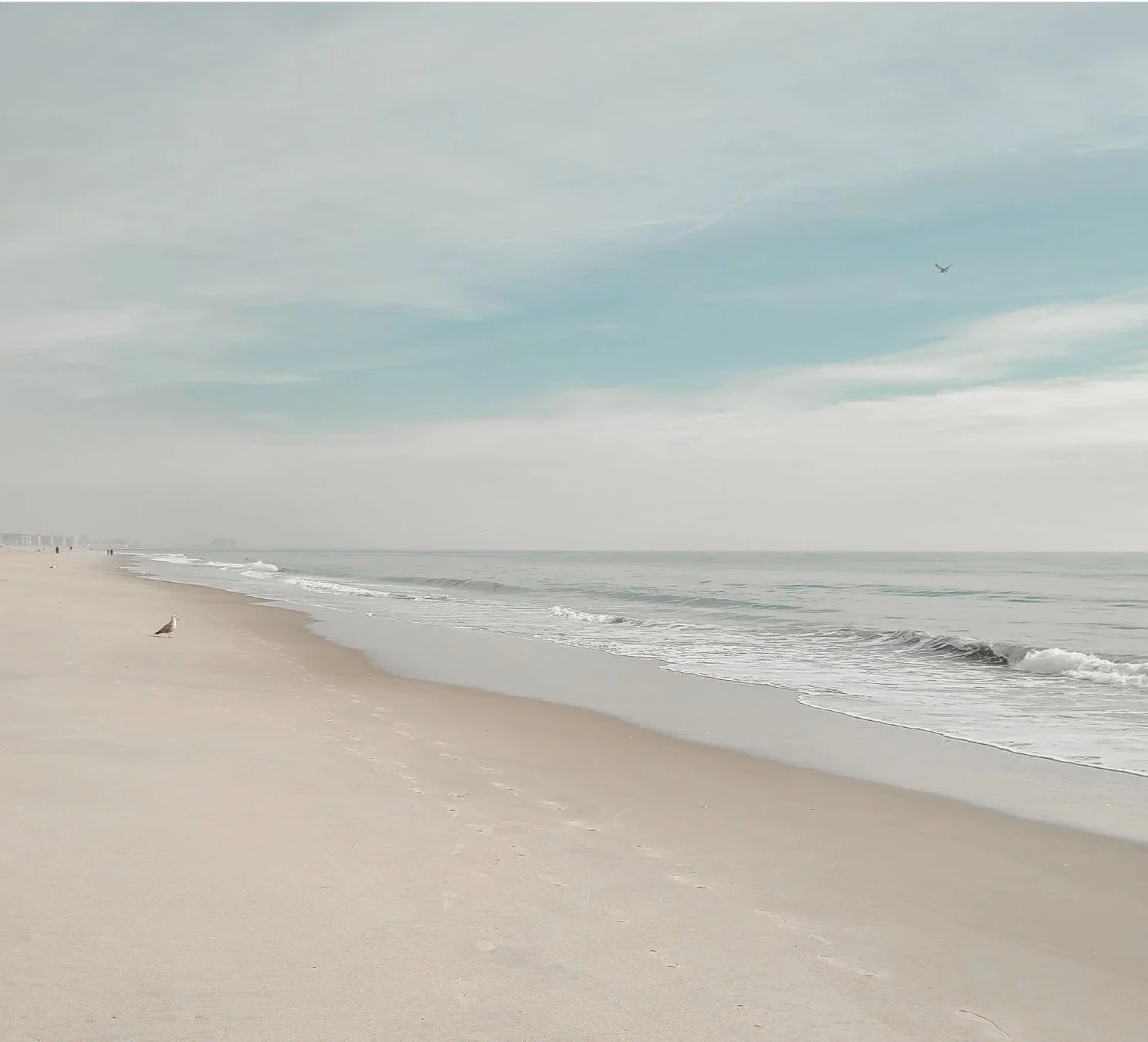 A serene beach scene with a wide stretch of sand, gentle waves, a few seagulls on the shore and in the sky, and a cloudy sky overhead Pensacola, FL