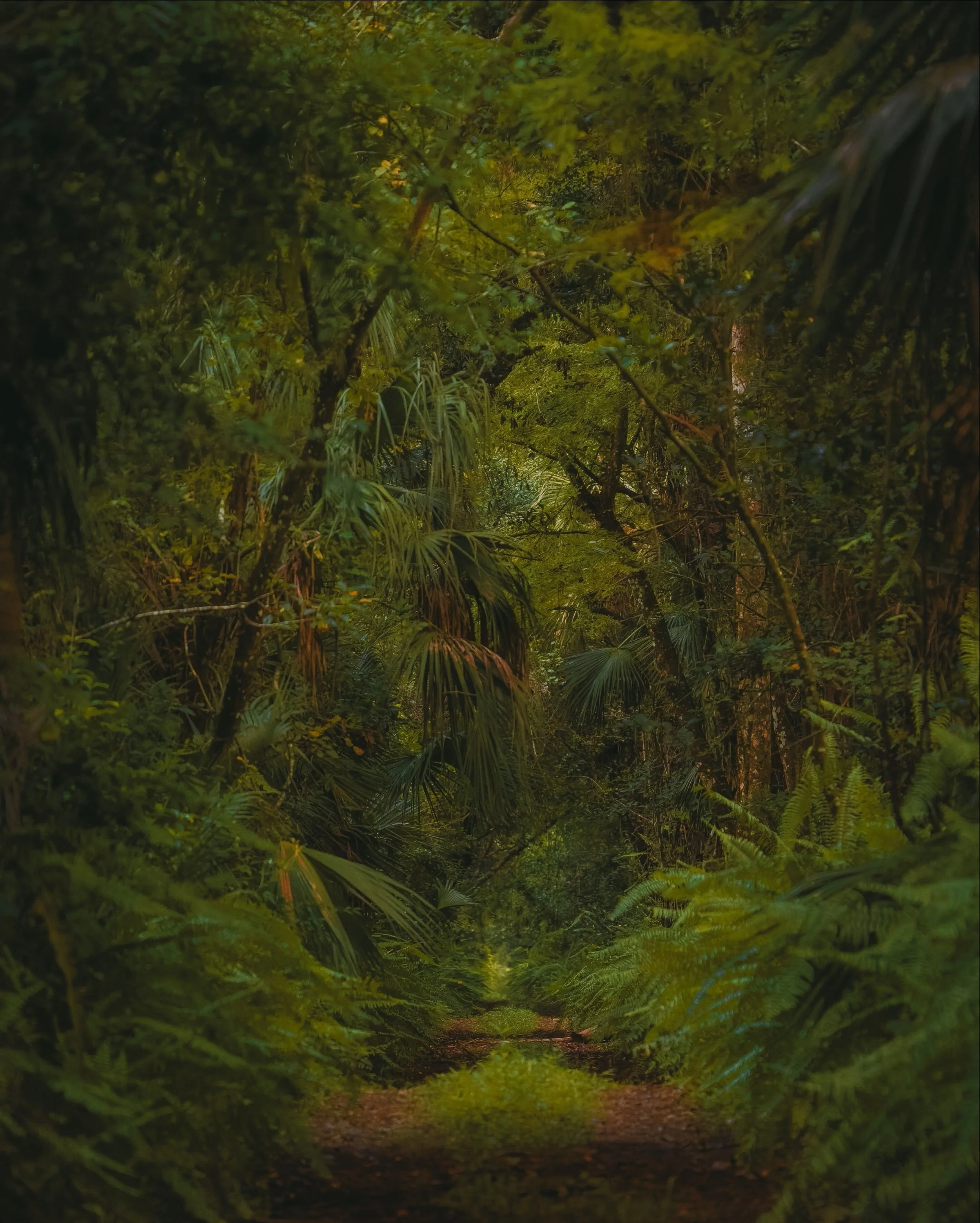 I took this photograph one year ago today, on October 1, 2025. Of all the landscapes I&rsquo;ve photographed, it&rsquo;s still my favorite, and its anniversary felt like the right time to share it again.

It&rsquo;s the wallpaper on my iPhone. I love