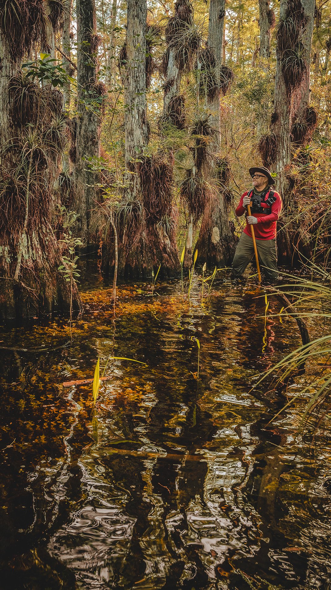 A man stands in a swamp holding a wooden staff, surrounded by tall trees and water plants in a dense forest.