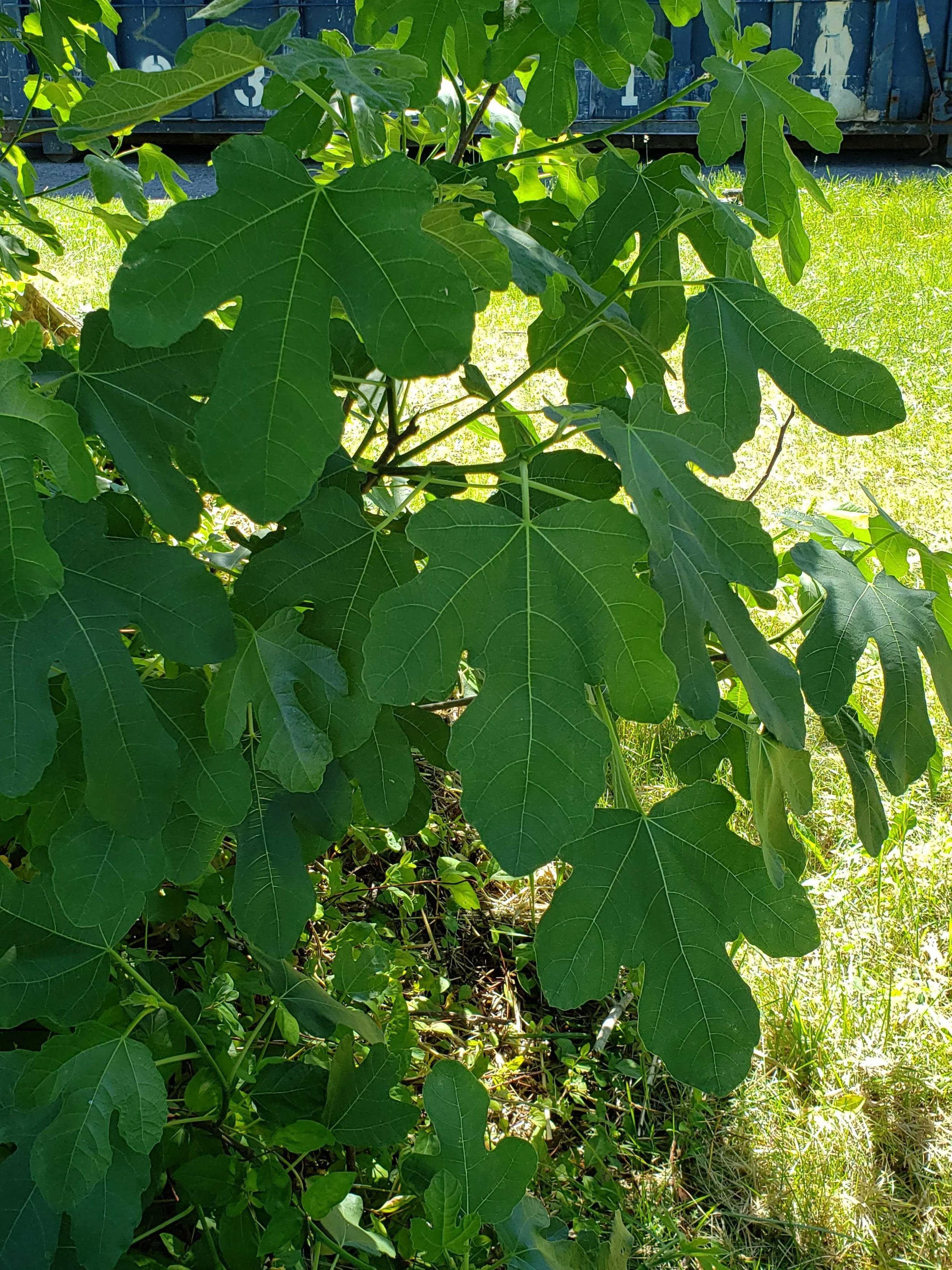20200613_154948.jpg