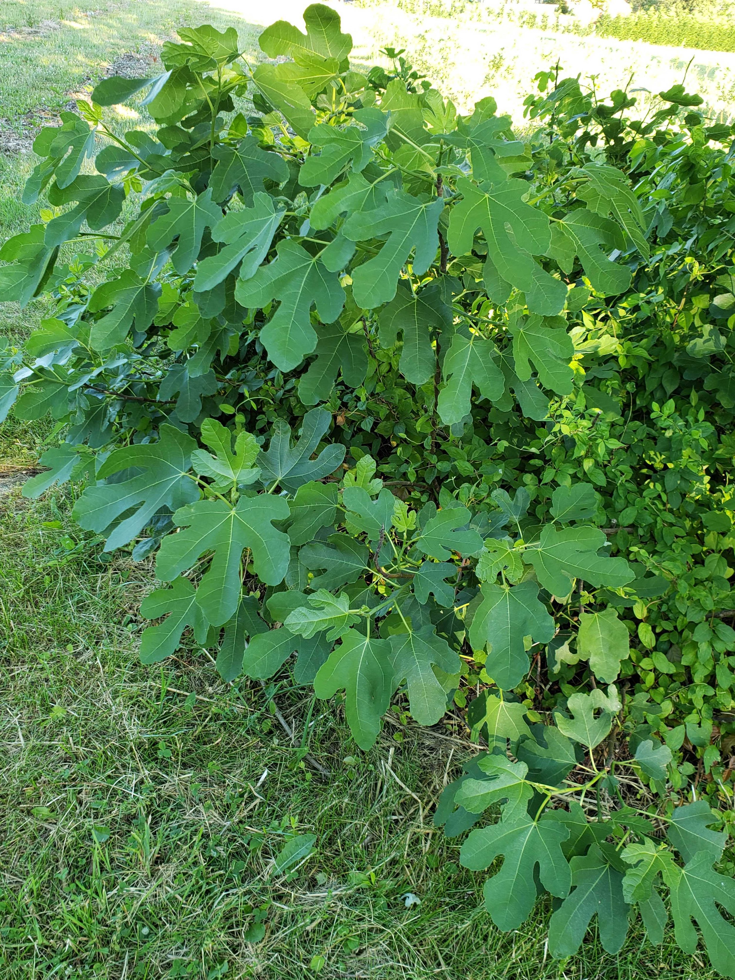 20200614_185500.jpg