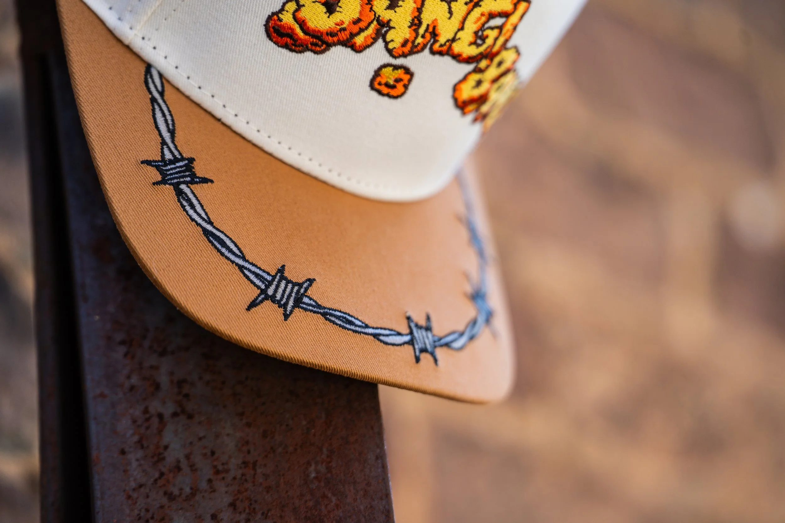 20260910-DSC09489.jpg
