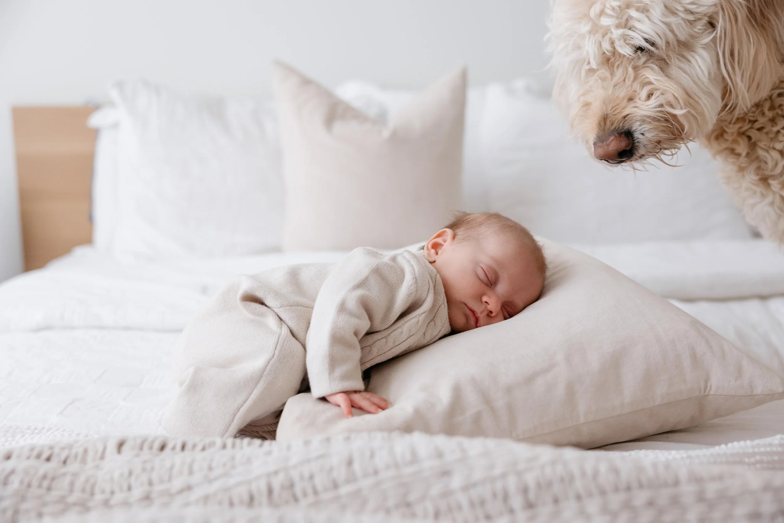 Winnipeg-newborn-and-maternity-photographer-sari-risbey-photography-13.jpg