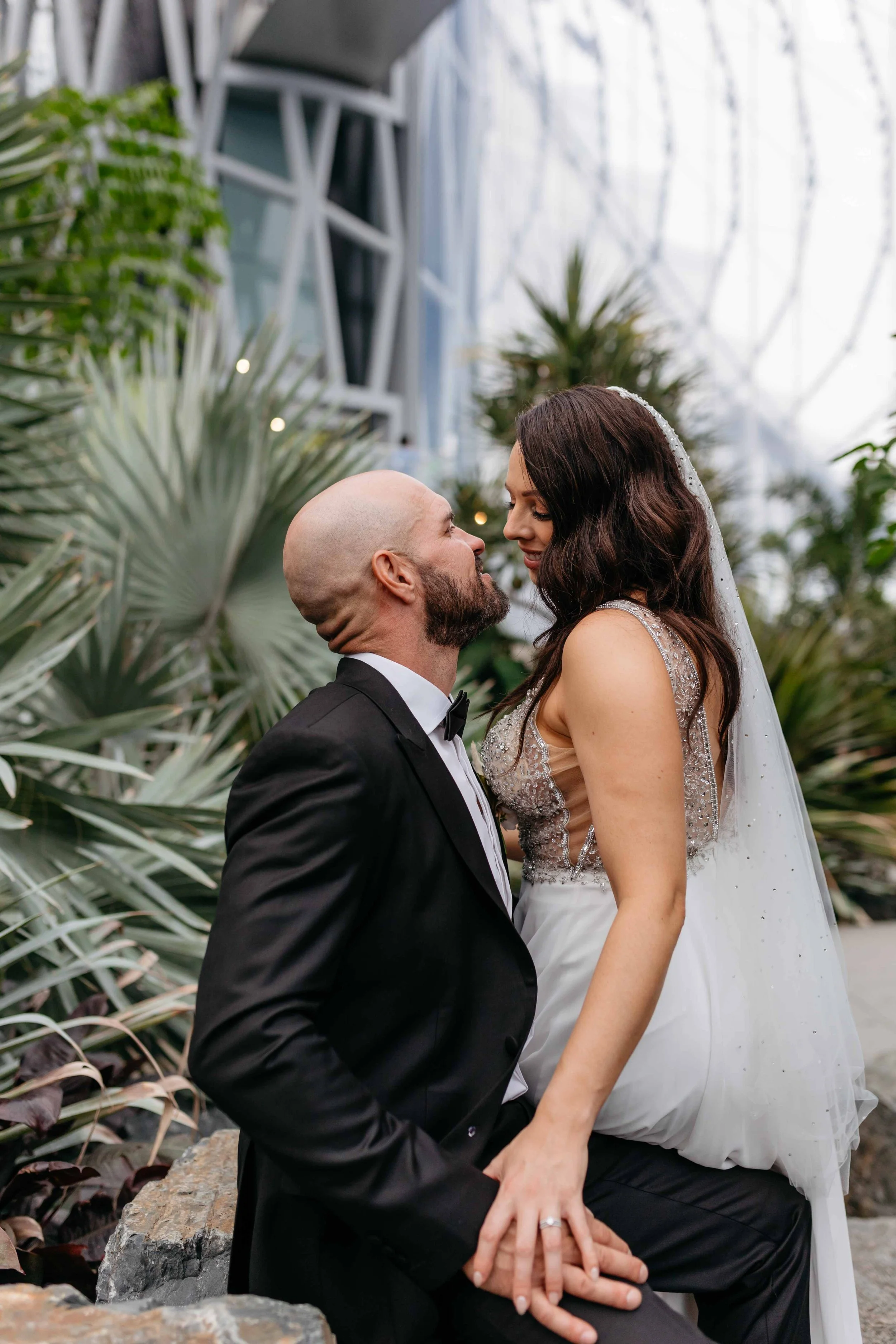 A bride and groom share an intimate moment outdoors amid lush green plants. The bride, with dark hair and a beaded veil, smiles gently at the groom, who is bald with a beard, wearing a tuxedo. The bride is standing, and the groom is kneeling on a sto