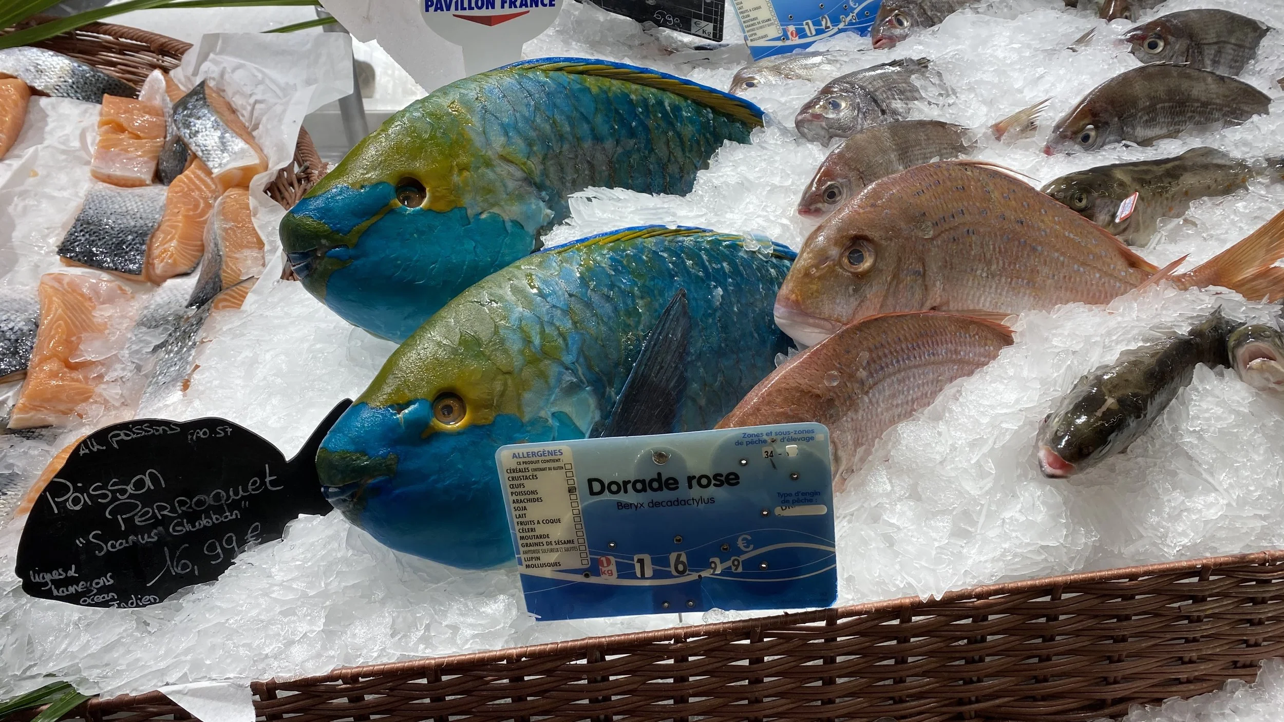 Fresh fish displayed on crushed ice at a market, including colorful parrotfish, red snapper, and various other fish.