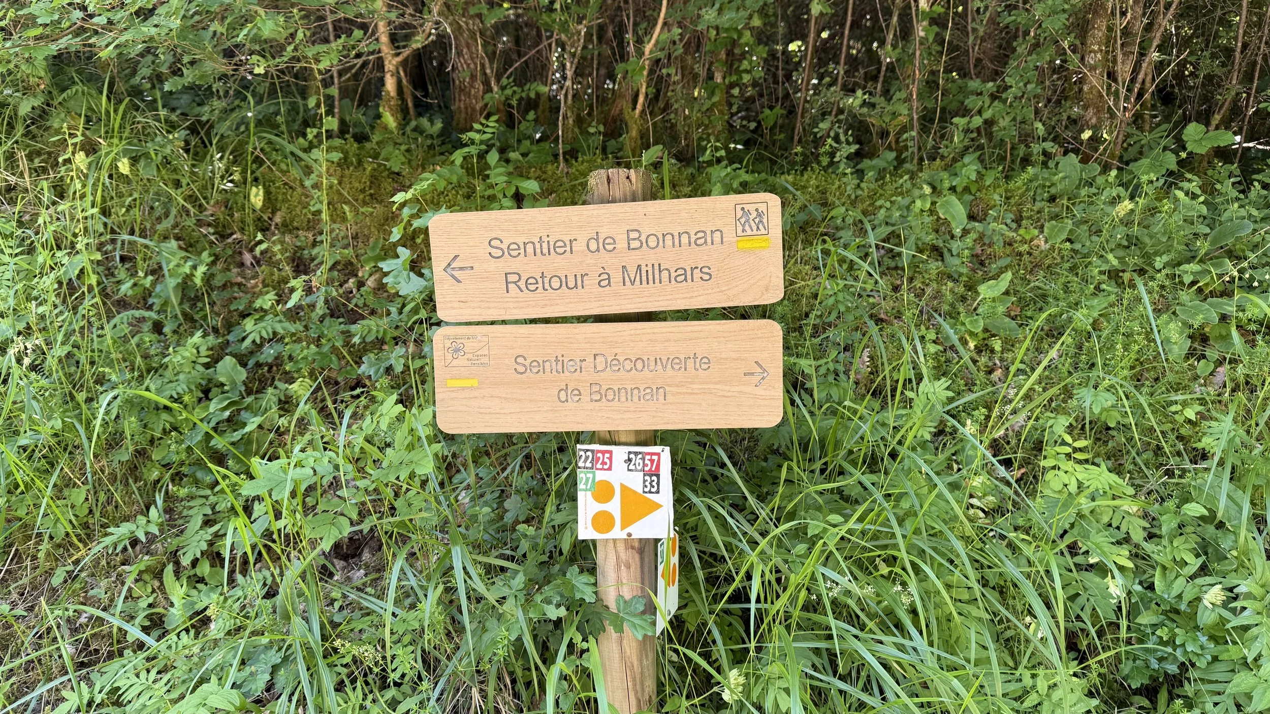 Local Walks