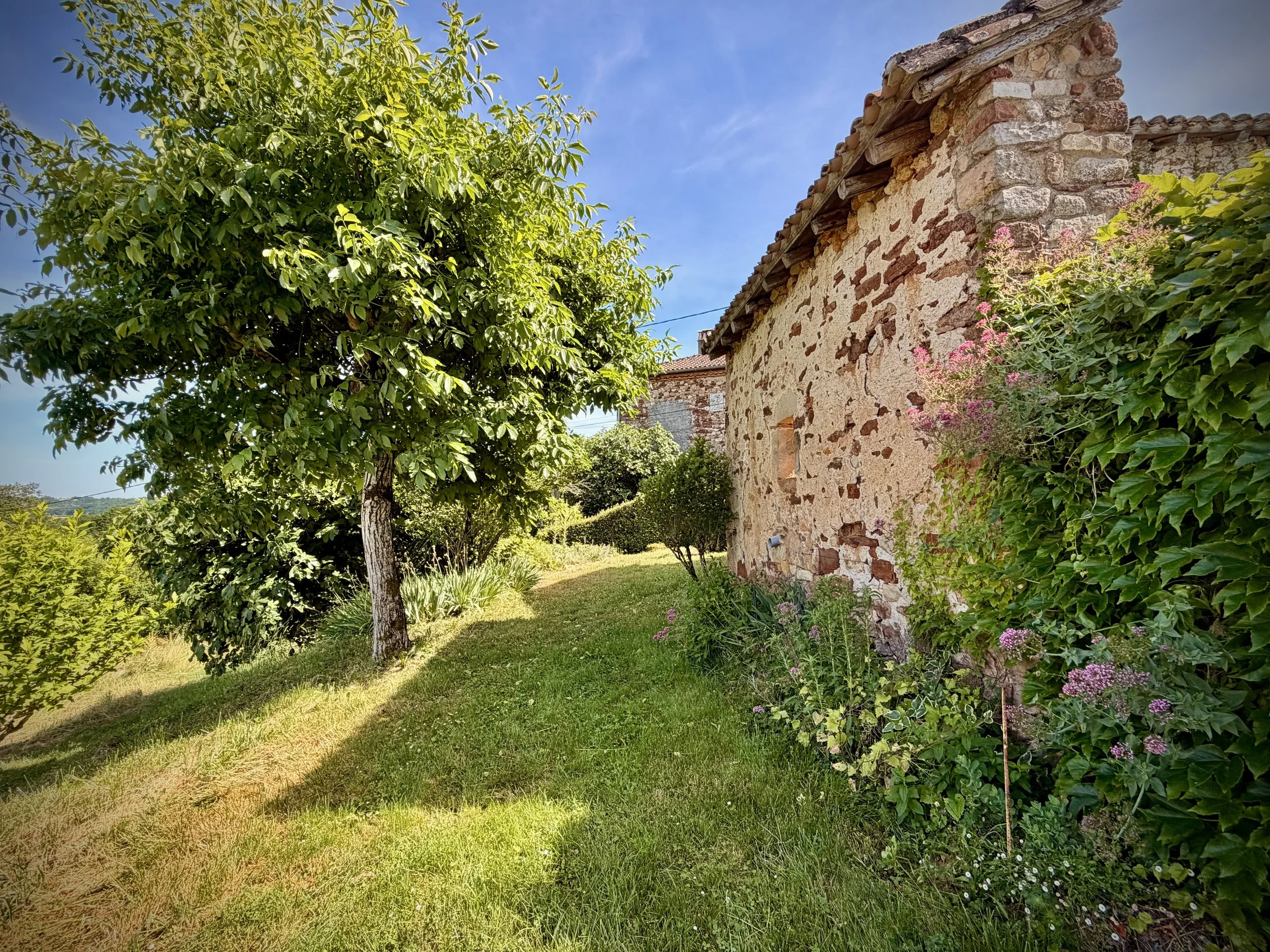 Secluded Garden