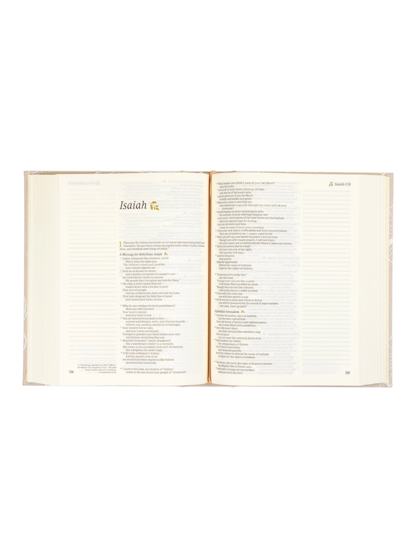 NLT Open Bible.png