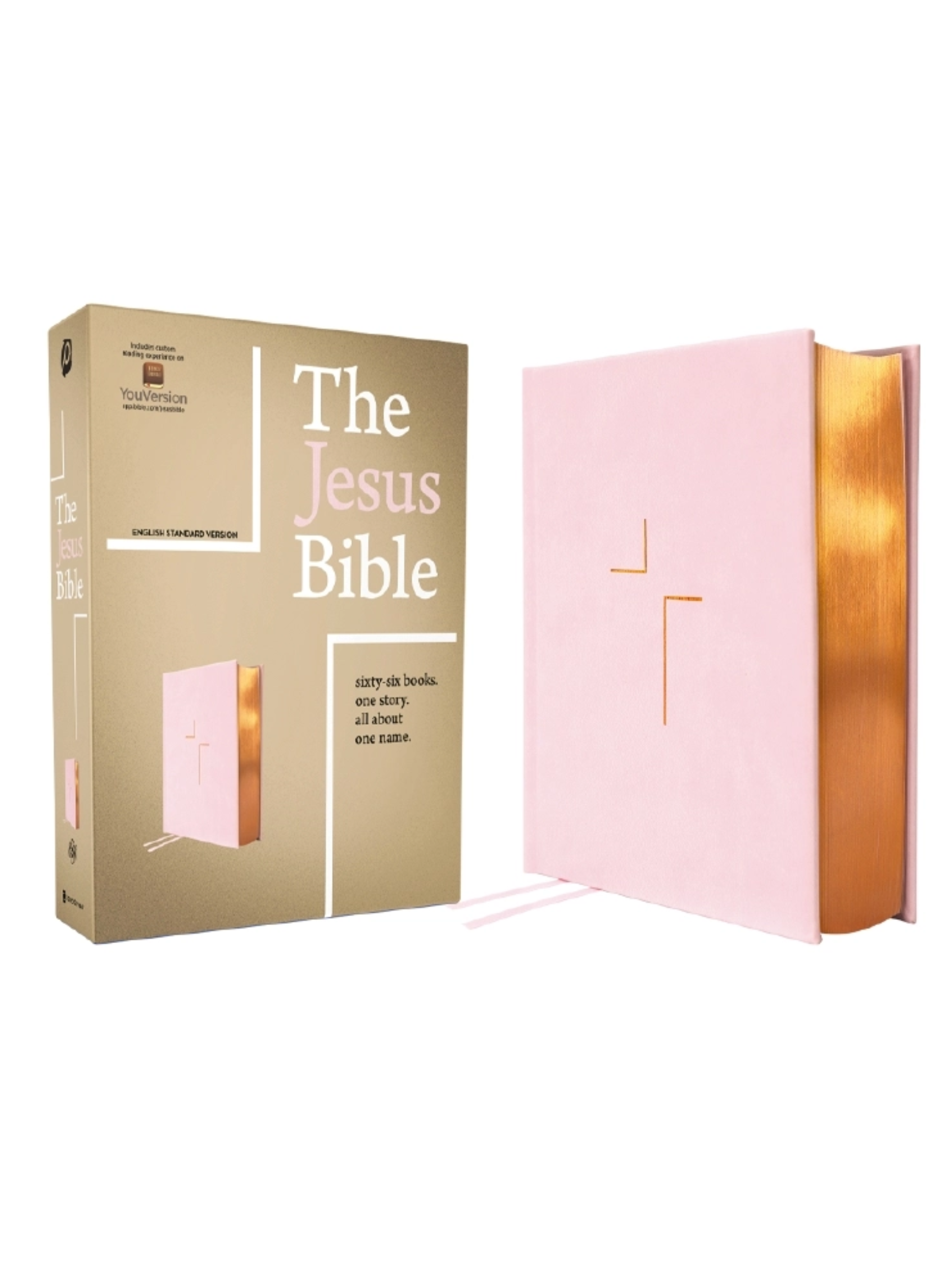 The Jesus Bible.png