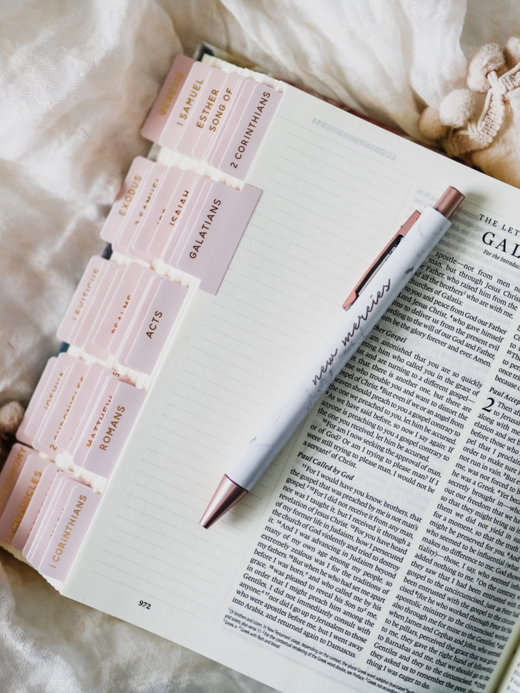Blush Bible Tabs