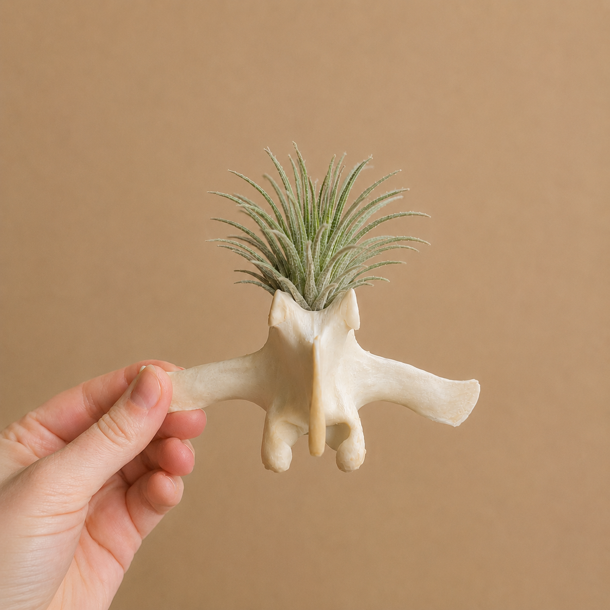 Bone & Faux Plant Sculptures