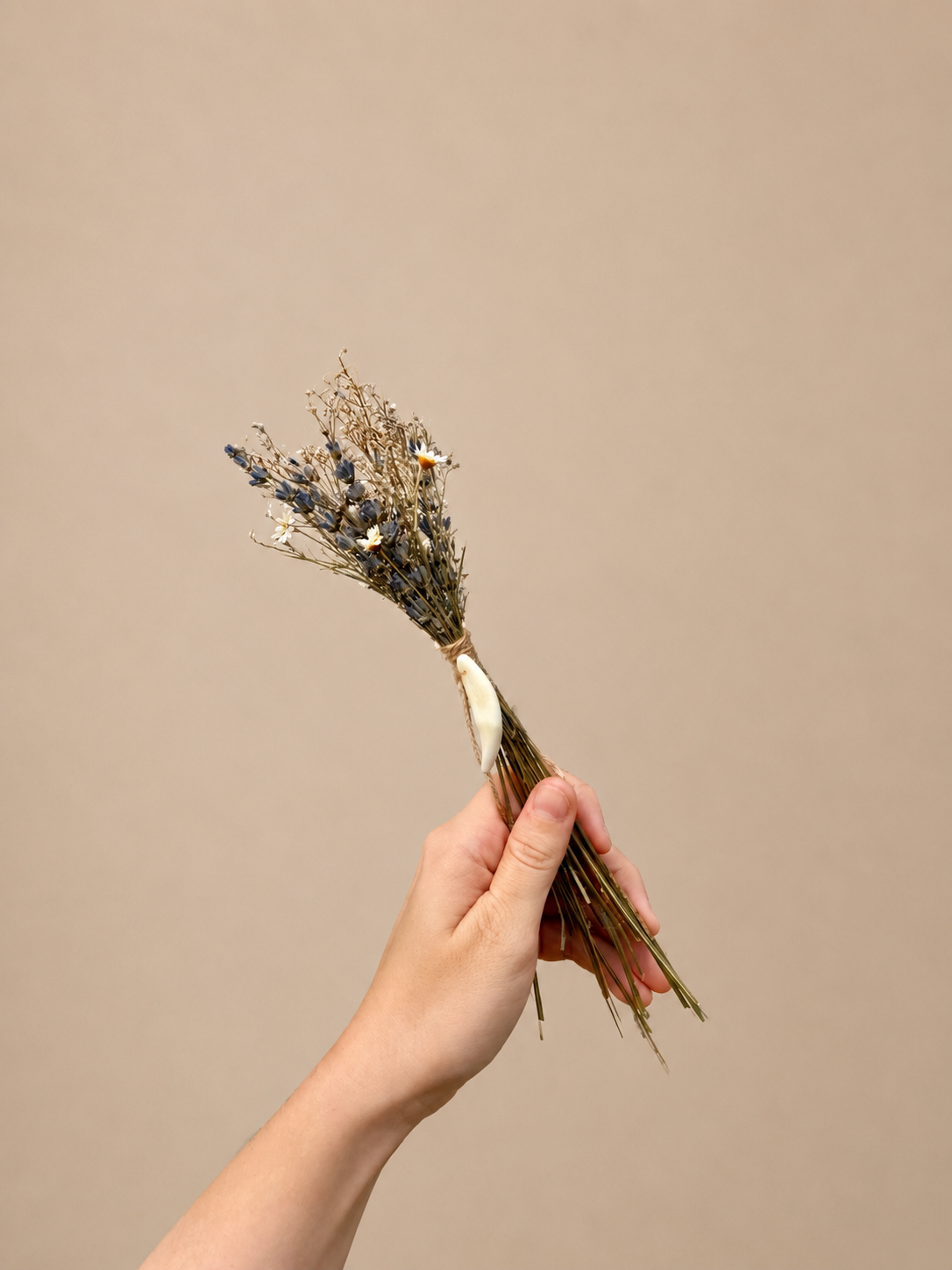 FloraOssa_CoyoteBouquet.png
