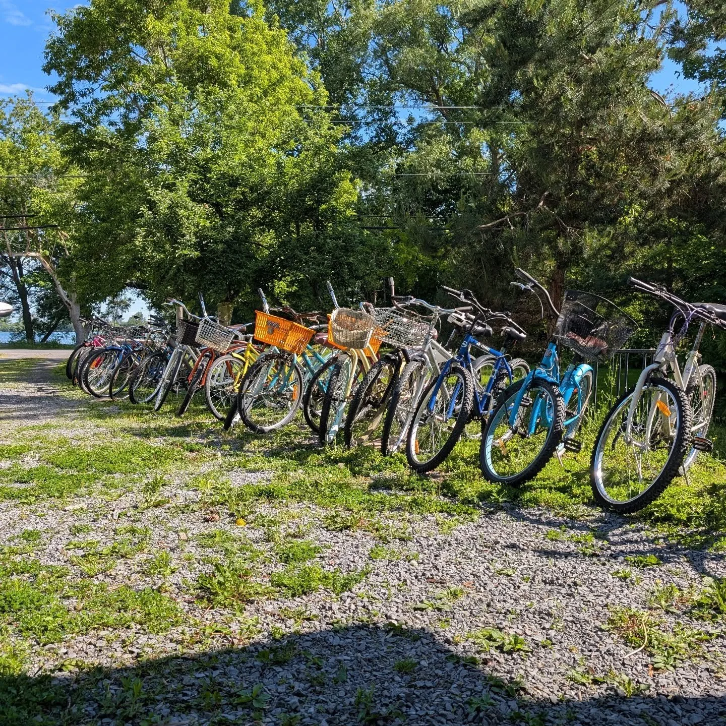 This was a great weekend for a ride! The fleet is growing and being upgraded for your next visit to be even better than the last. We hope to see you here soon!