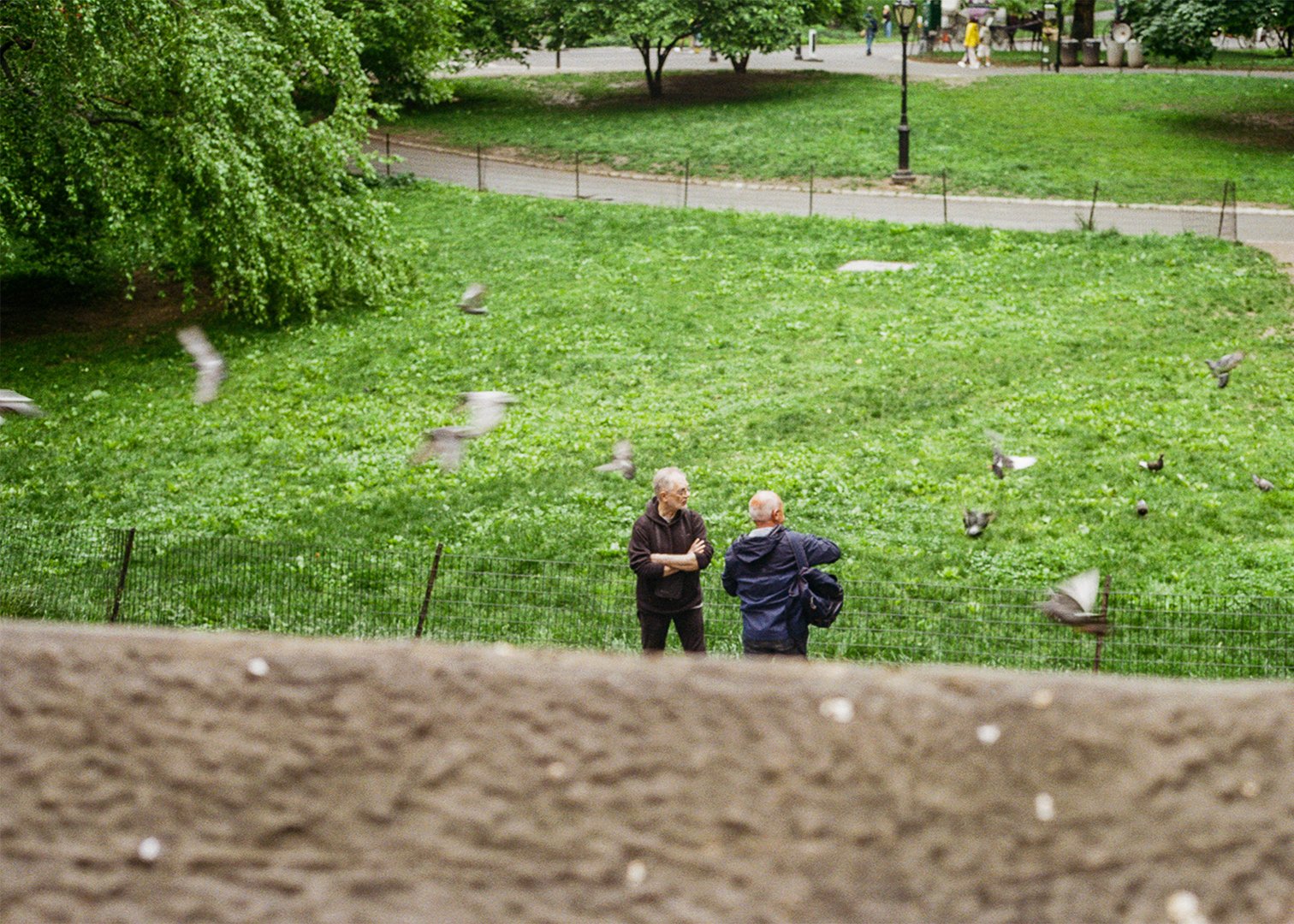 AT-THE-PARK_01.jpg