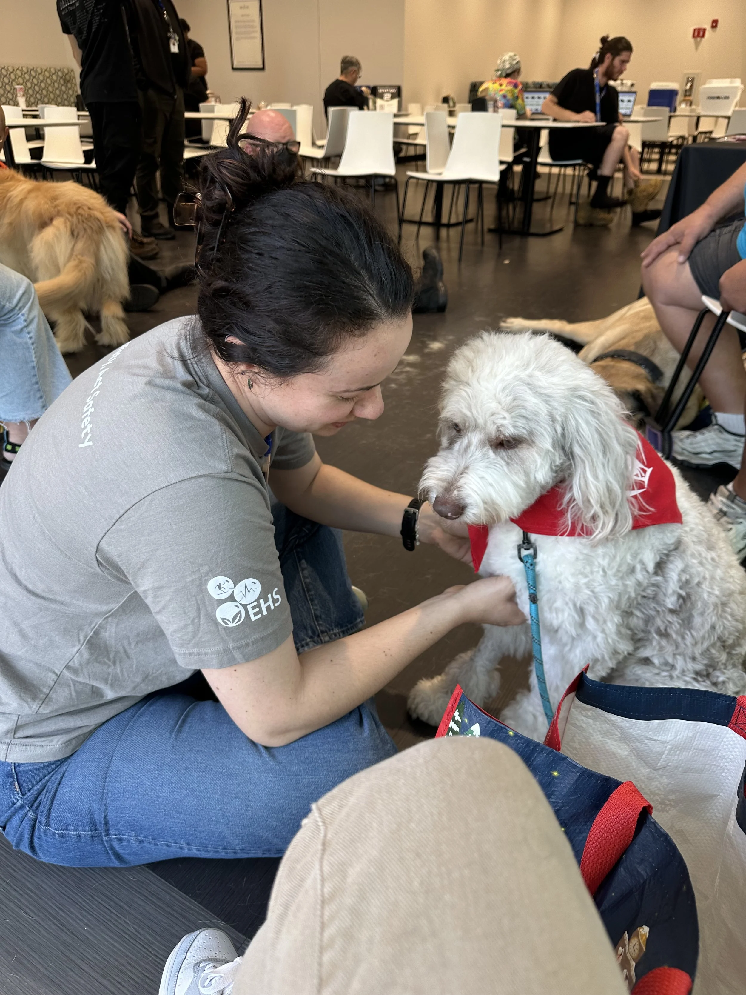 A woman kneeling down and petting a white dog with curly fur and a red bandana in a busy indoor setting. Several other dogs and people are visible in the background.