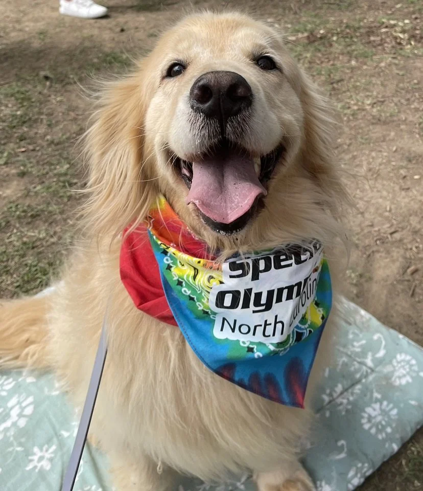 Smiling Golden Retriever dog with tongue out, wearing a colorful bandana that says 'Special Olympics North' and lying on a blanket outdoors.