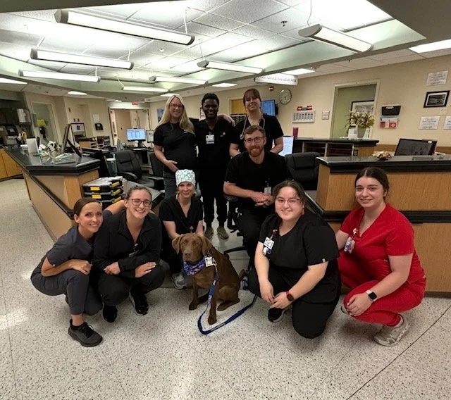 Group of healthcare workers and a service dog in a hospital reception area.