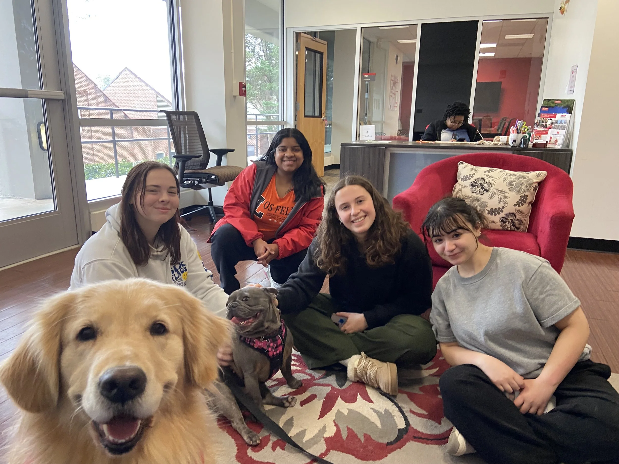 Group of young girls sitting on a rug with two dogs, one golden retriever in the foreground and a smaller dog wearing a pink checkered scarf, inside a room with large windows and a reception desk in the background.
