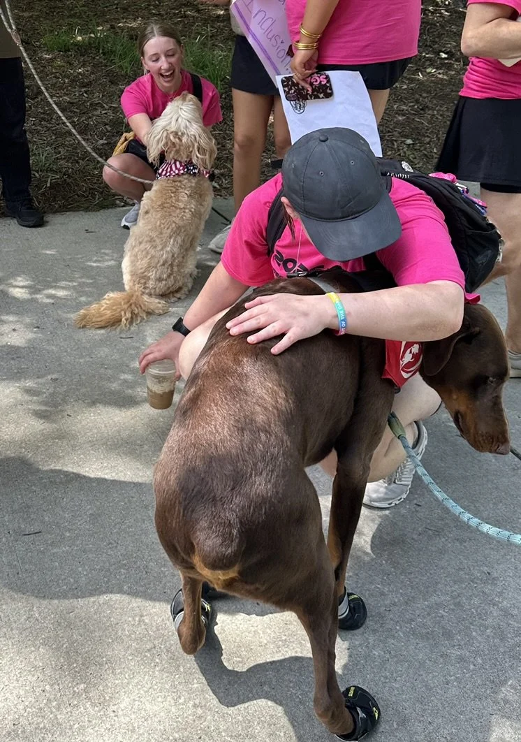 A person wearing a gray cap and pink shirt is hugging a brown dog, kneeling on a sidewalk. In the background, a woman in a pink shirt is sitting and smiling at a small, curly-haired dog wearing a patterned bandana, while four other women stand nearby