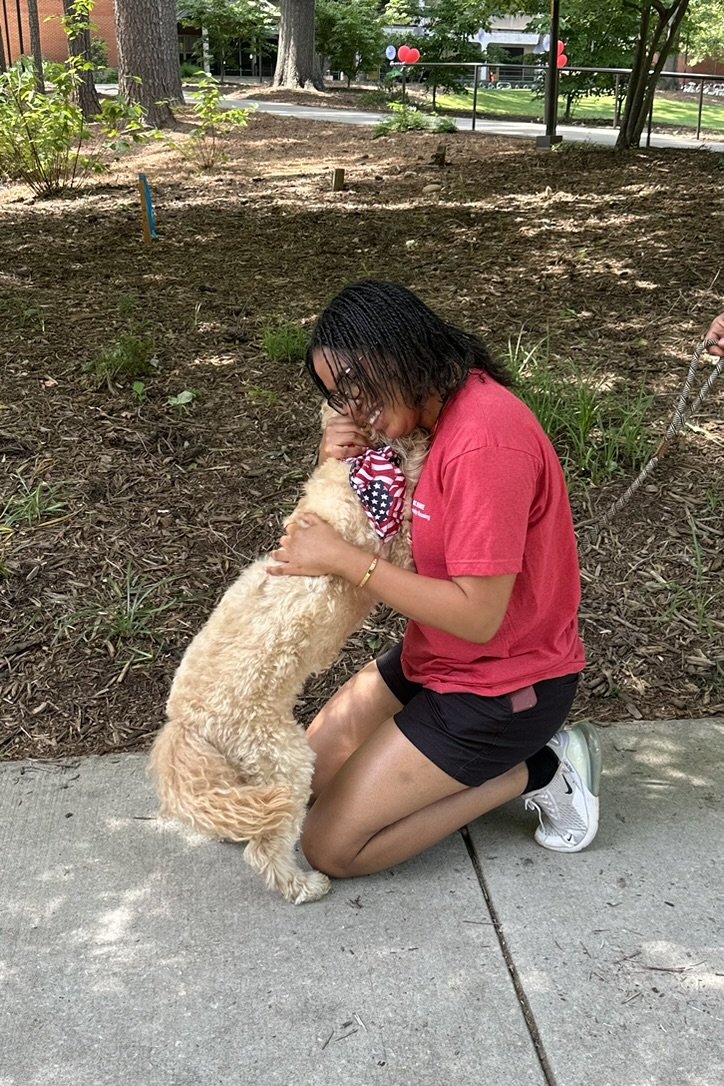 A girl in a red shirt kneeling on a sidewalk, hugging a golden retriever puppy outside in a park with trees and balloons in the background.