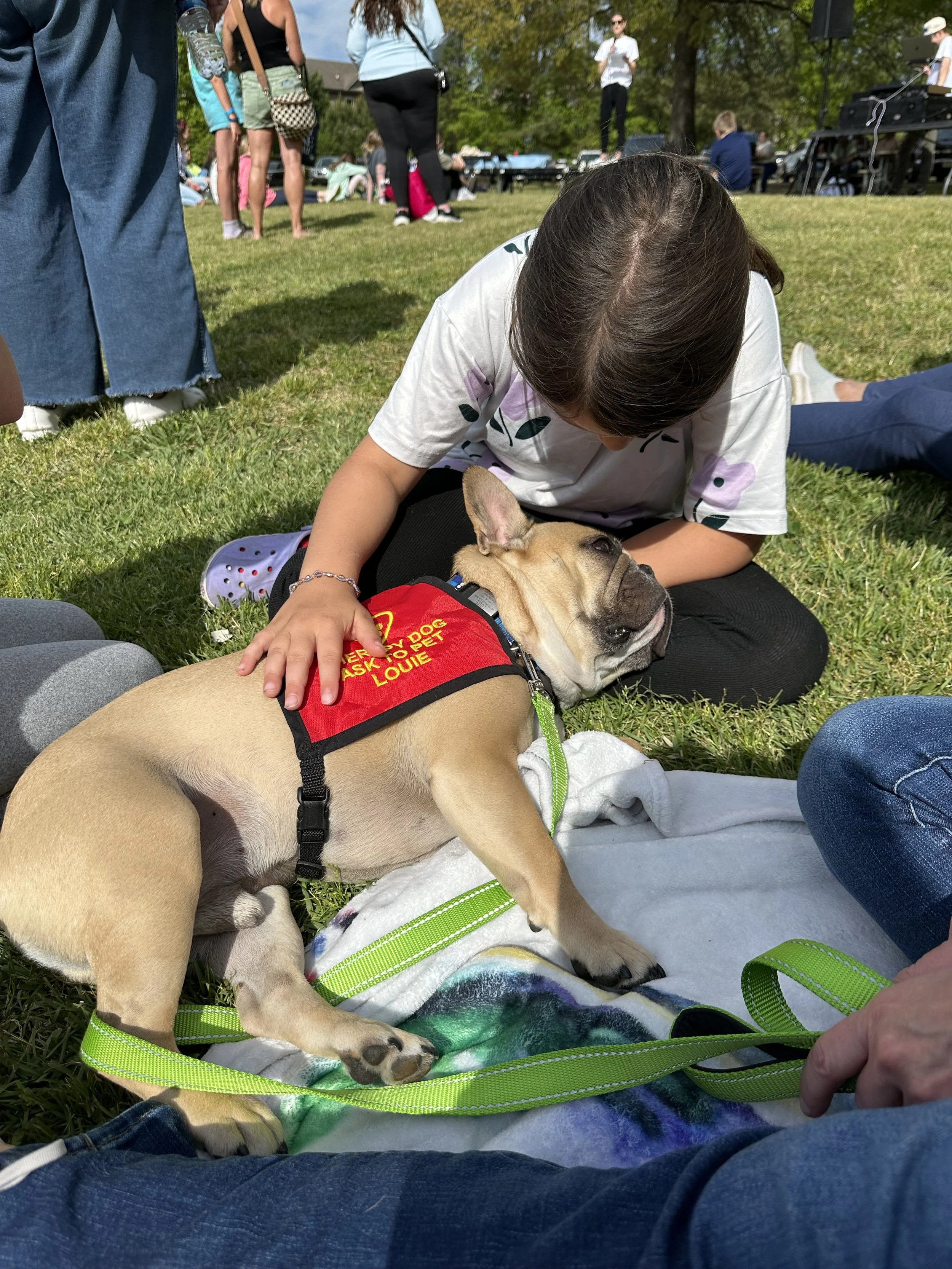A young girl with long brown hair lying on the grass cuddling a tan and white bulldog puppy wearing a red vest. The puppy is lying on its back with eyes closed, surrounded by adults and children attending an outdoor event.