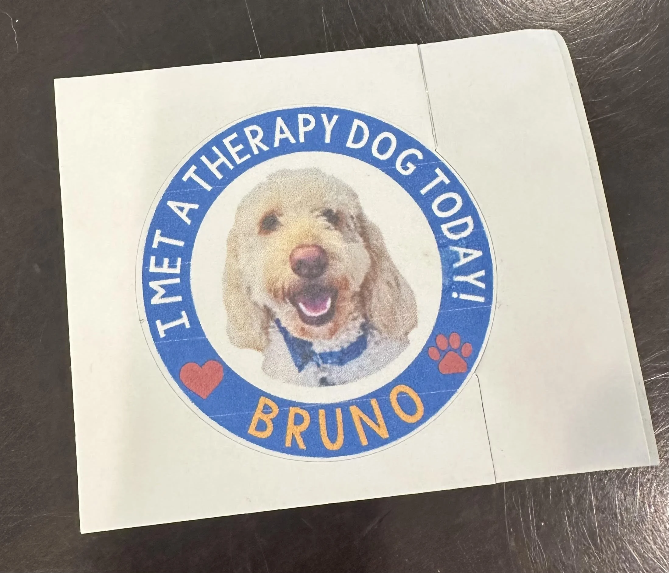 Sticker with a puppy face in the center, surrounded by a blue circle with the text 'We are therapy dog volunteers' and a small orange paw print.
