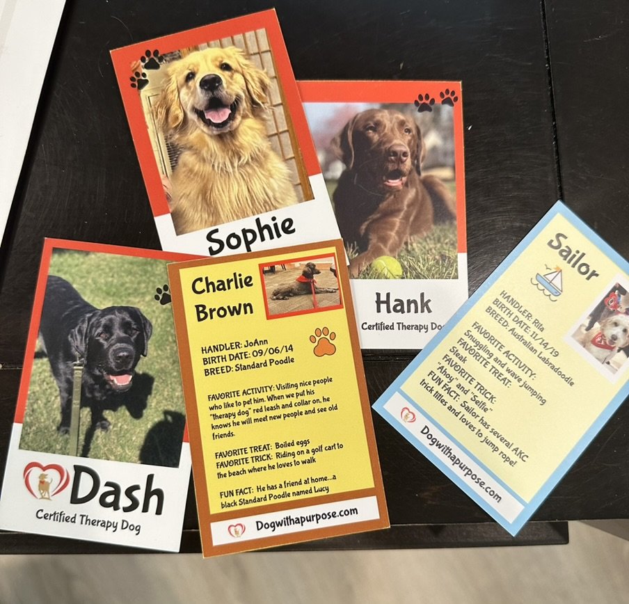 Array of three dog therapy dog profile cards with photos and information, including names Sophie, Hank, Dash, and Sailor, placed on a black surface.