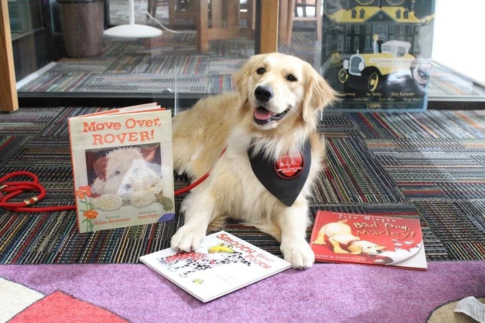 A cheerful golden retriever dog with a black bandana around its neck sits on a multicolored carpet in front of a glass wall with books and toys, with two children's books, a red leash, and a fairy tale book nearby.