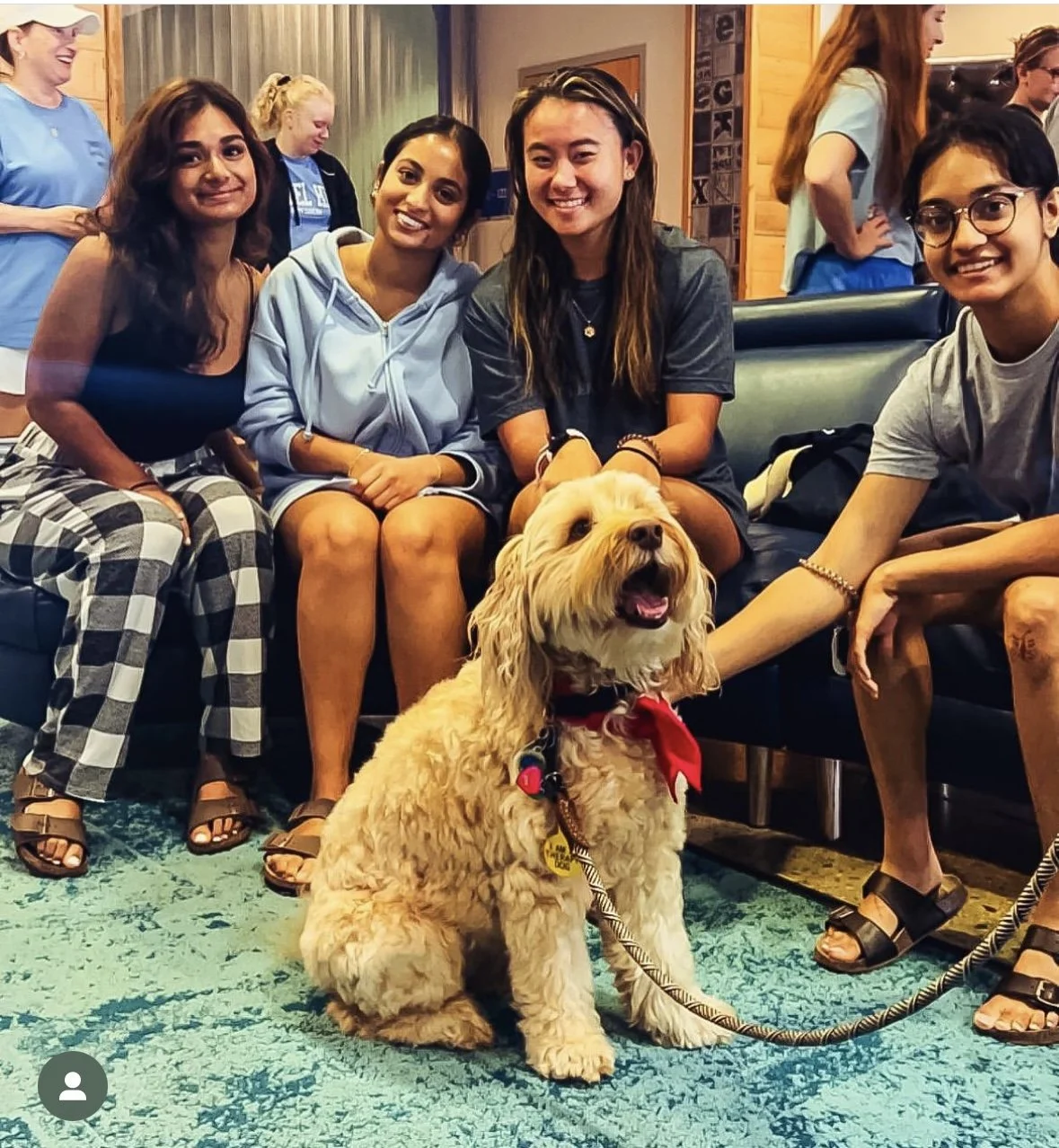 Four young women sitting together on a couch, smiling at the camera. A large, fluffy, golden retriever dog with a red bandana around its neck is sitting in front of them. The background shows a cozy indoor setting with other people, wooden walls, and