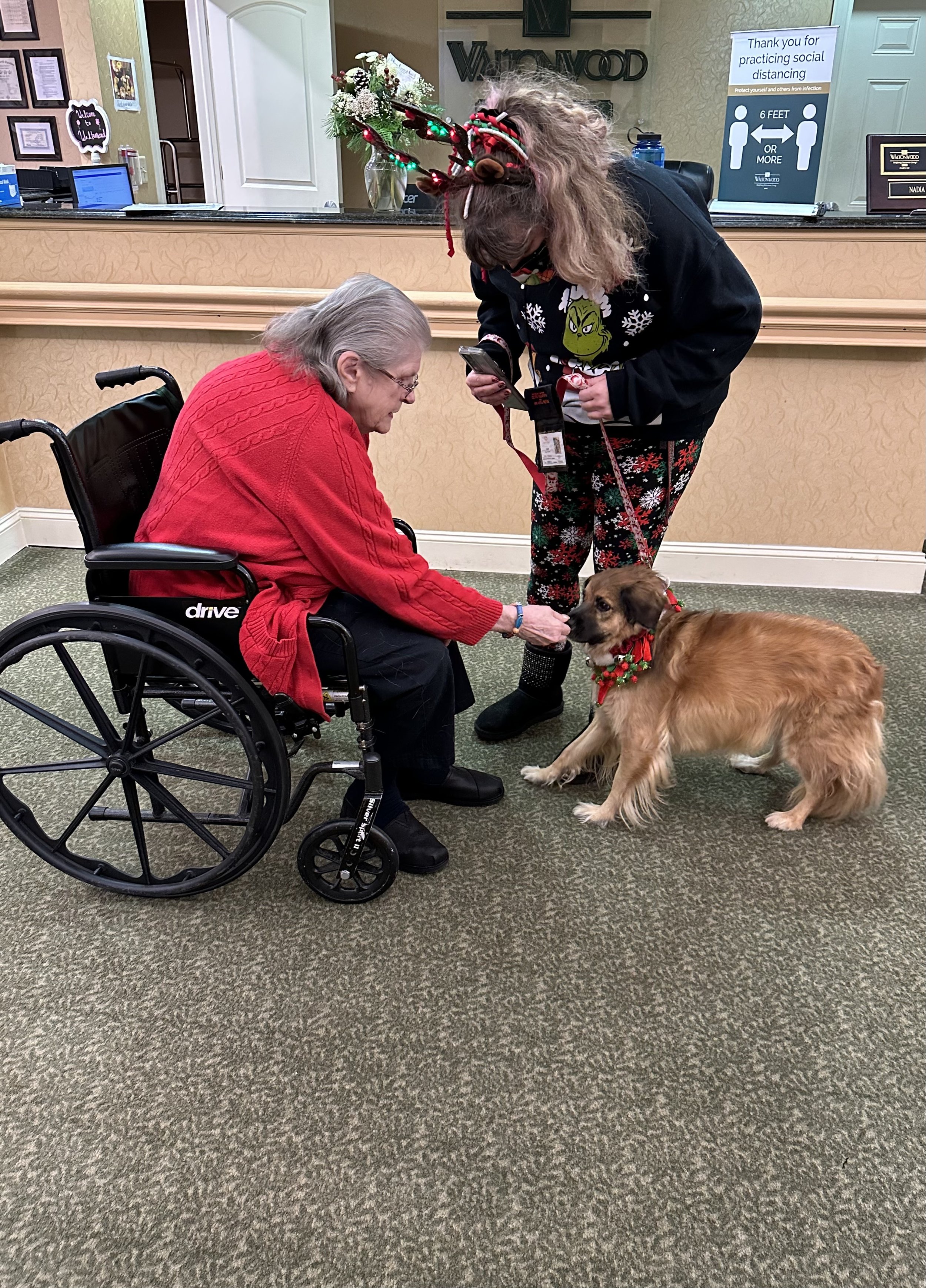 A woman in a wheelchair, wearing a red sweater, interacts with a golden retriever dog dressed in holiday accessories, while another woman with festive clothing and reindeer antlers decorated with Christmas lights looks on in a reception area.