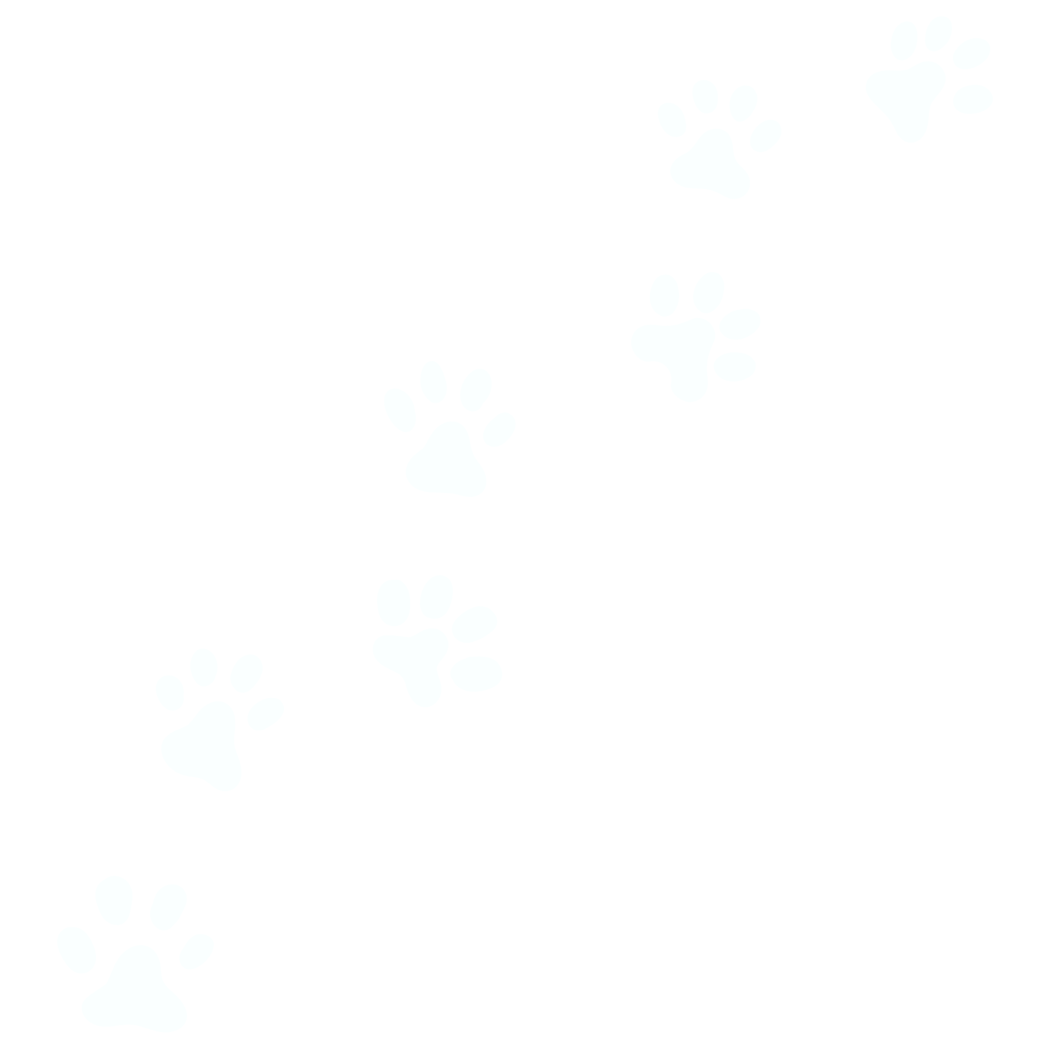 Black background with white paw prints scattered across, some partially visible.