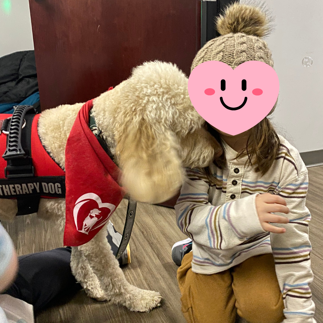A therapy dog wearing a red vest and bandana interacting with a young girl who has a pink heart emoji covering her face. The girl is wearing a beige knit hat with a pom-pom and a striped shirt. They are indoors on a wooden floor.