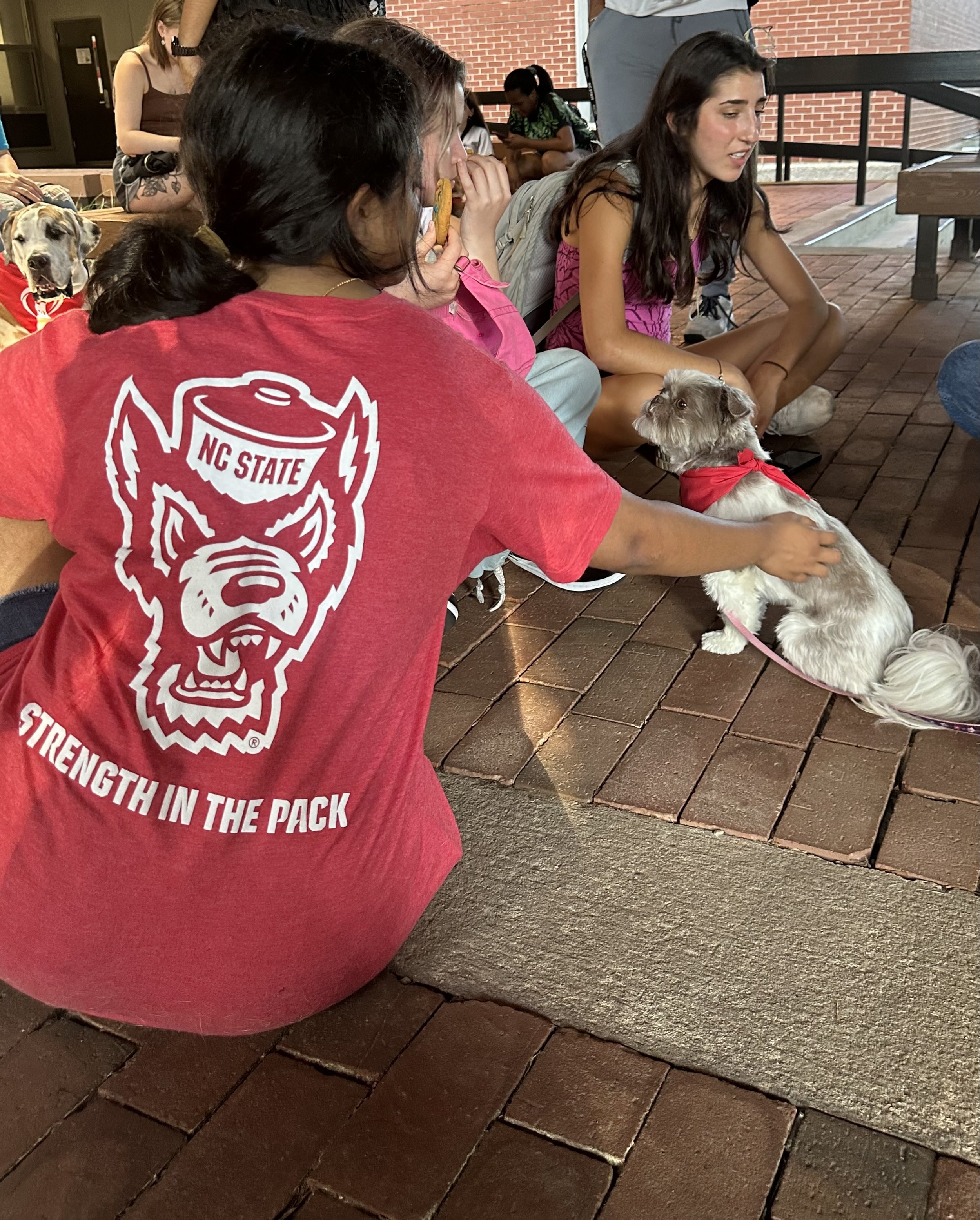 A group of people sitting on the ground with dogs, including a woman in a red NC State shirt, an elderly woman, and a young woman in a pink top, in an outdoor area with brick pavement and a brick building in the background.