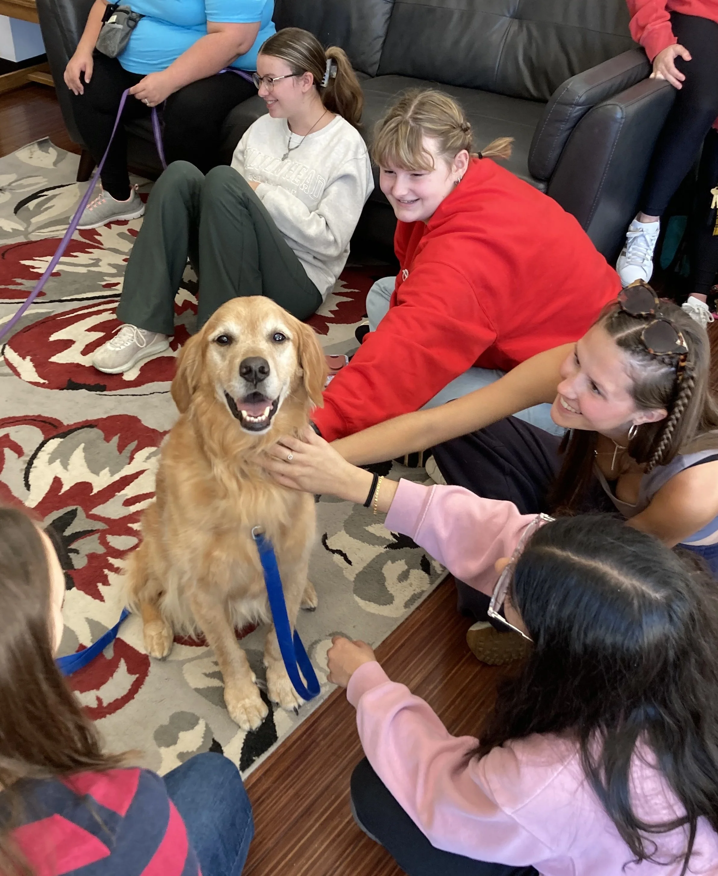 A group of children and adults gathered around a happy golden retriever dog inside a living room. The dog is sitting on a patterned rug and looking at the camera. The children are reaching toward the dog, and the adults are standing or sitting nearby
