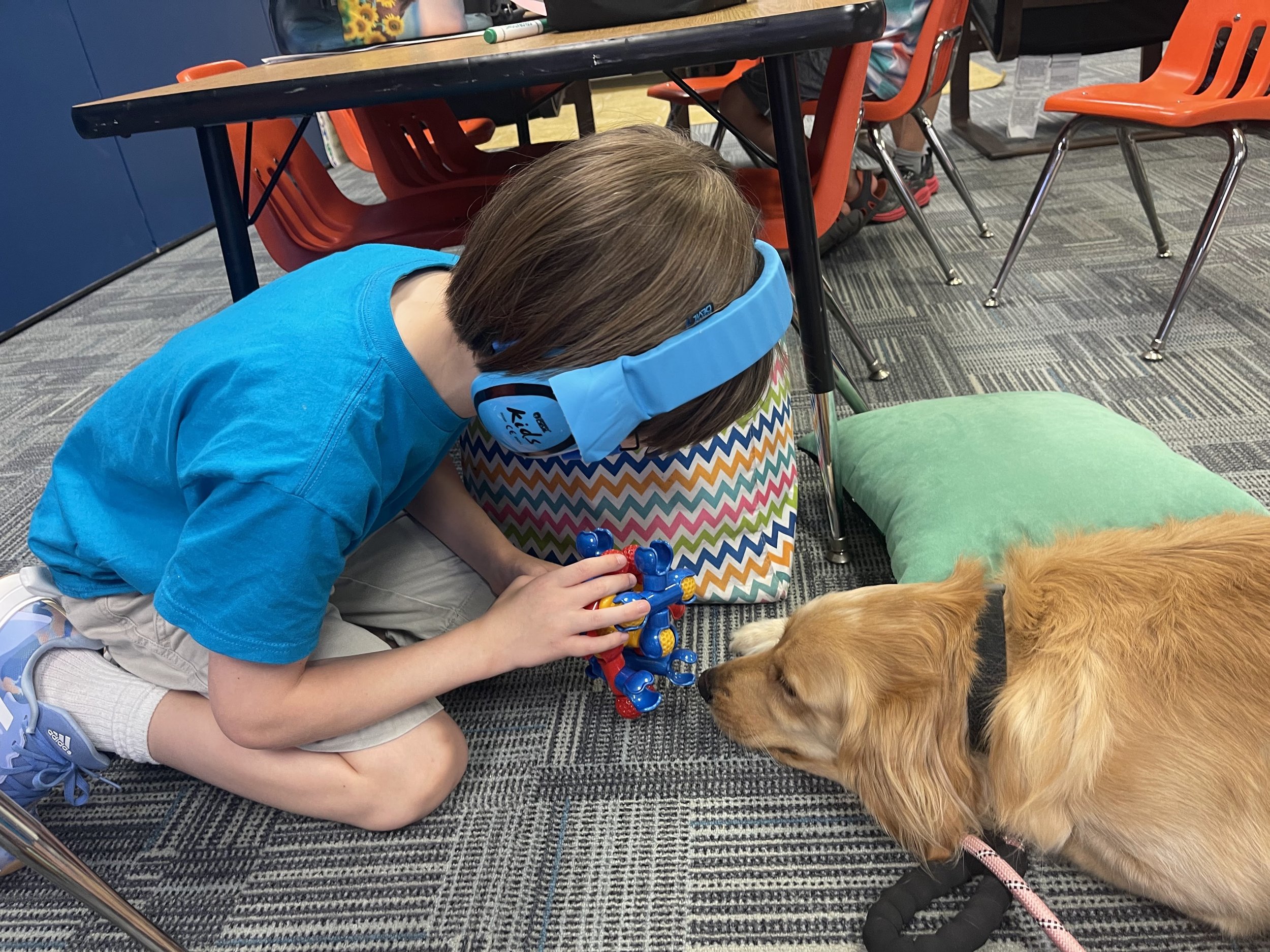 A boy wearing a blue shirt, gray shorts, white socks, and sneakers is kneeling on the floor and holding a colorful plastic toy, near a golden retriever dog lying on the floor. The boy is also wearing blue over-ear headphones. The scene takes place in