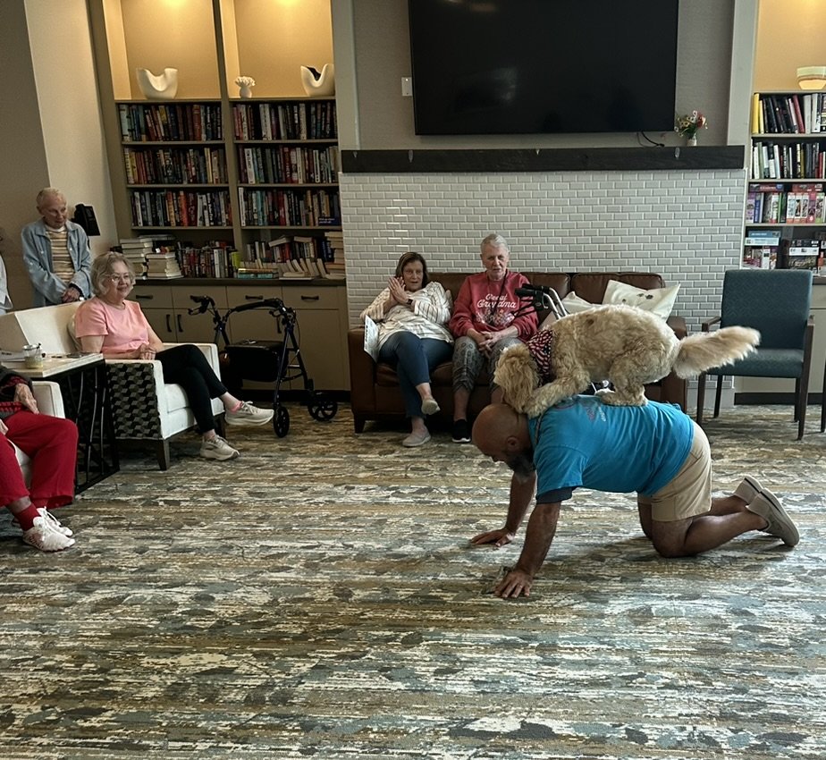 A man in a blue shirt and beige shorts is on all fours on the floor with a small dog on his back. Several elderly people are sitting and standing around in a room with bookshelves and a large TV, watching the scene.