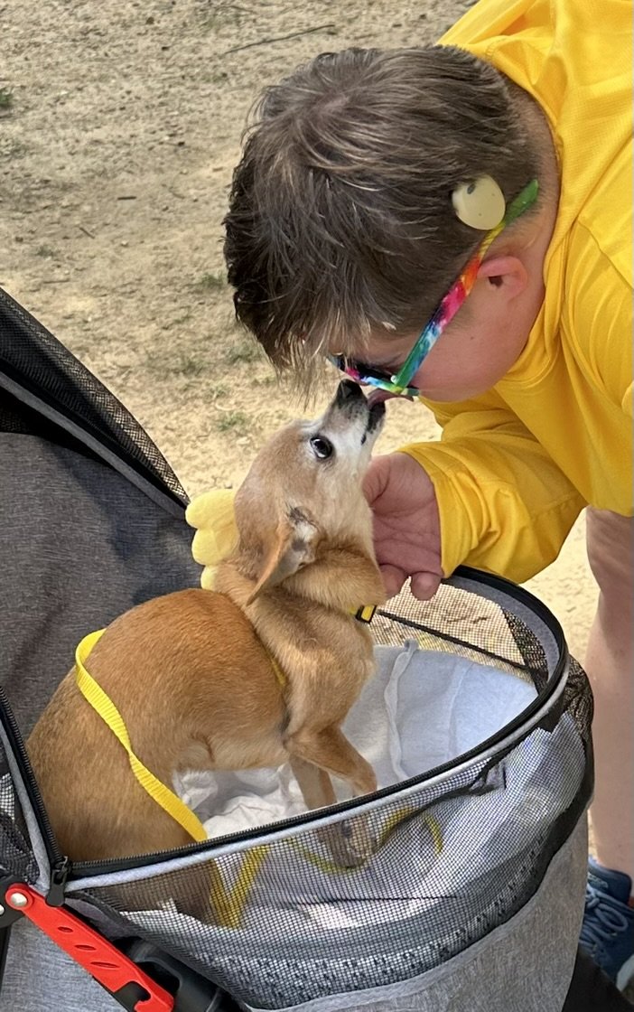 Person wearing colorful glasses and a yellow jacket leaning over a small brown puppy with a yellow collar, inside a pet carrier, touching noses with the puppy.