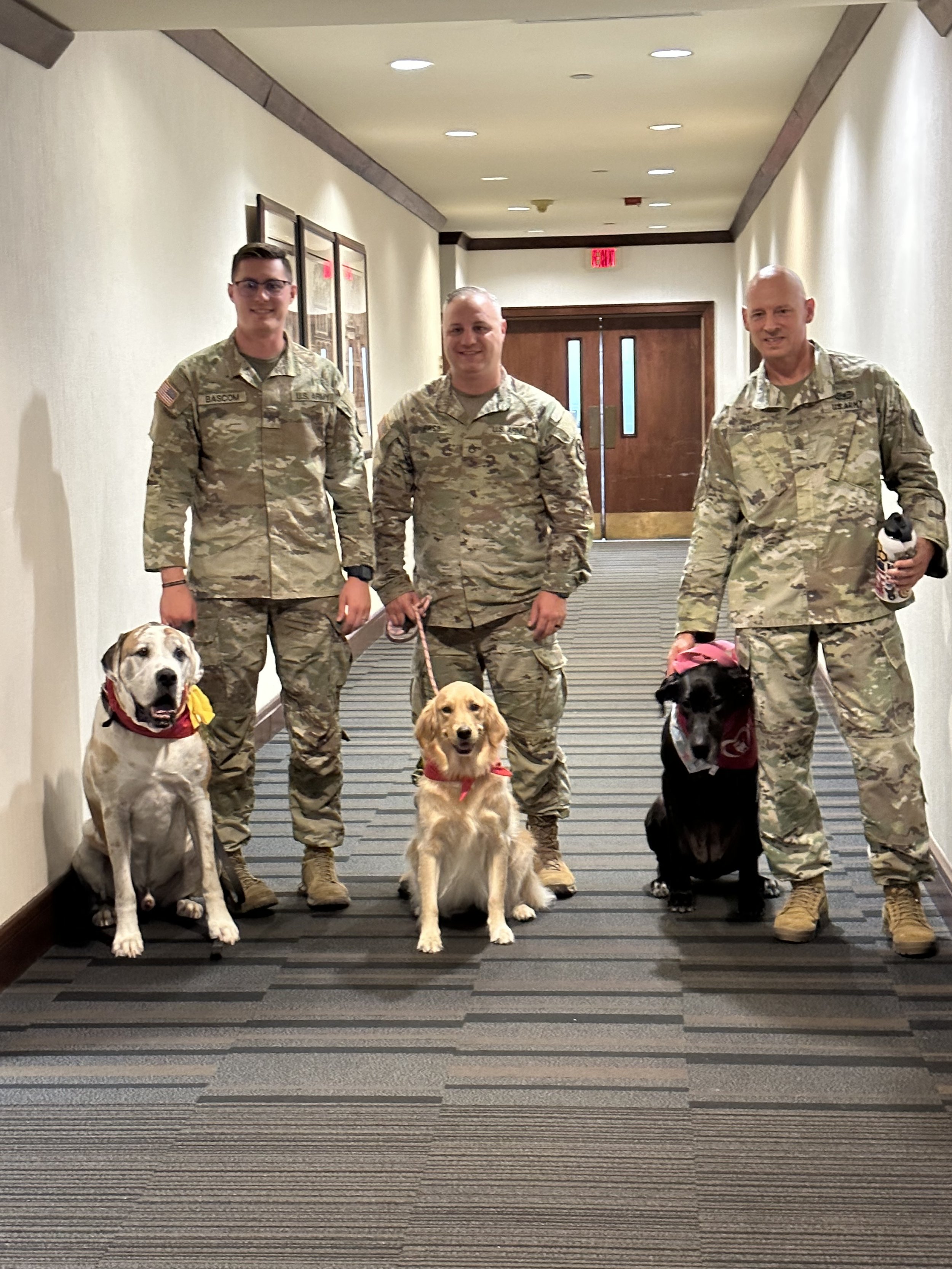 Three soldiers in camouflage uniforms standing in a hallway with four service dogs, including a yellow retriever, a black and white Labrador retriever, and two black Labradors with service vests.
