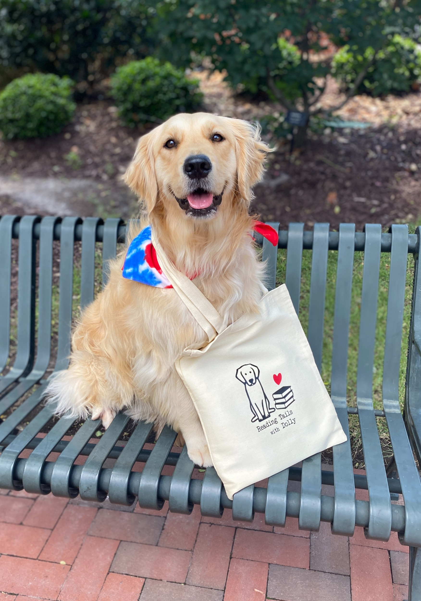 A golden retriever dog sitting on a park bench, wearing a patriotic bandana and carrying a tote bag with a dog reading a book logo.