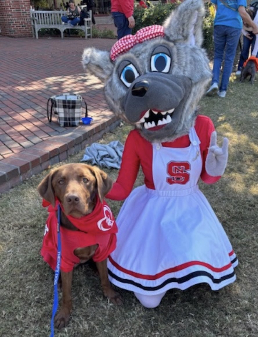 A dog wearing a red sweatshirt with a price tag logo is sitting next to a person in a large wolf mascot costume dressed in a cheerleader outfit. The scene appears to be at an outdoor event with other people and dogs in the background, on a grassy are