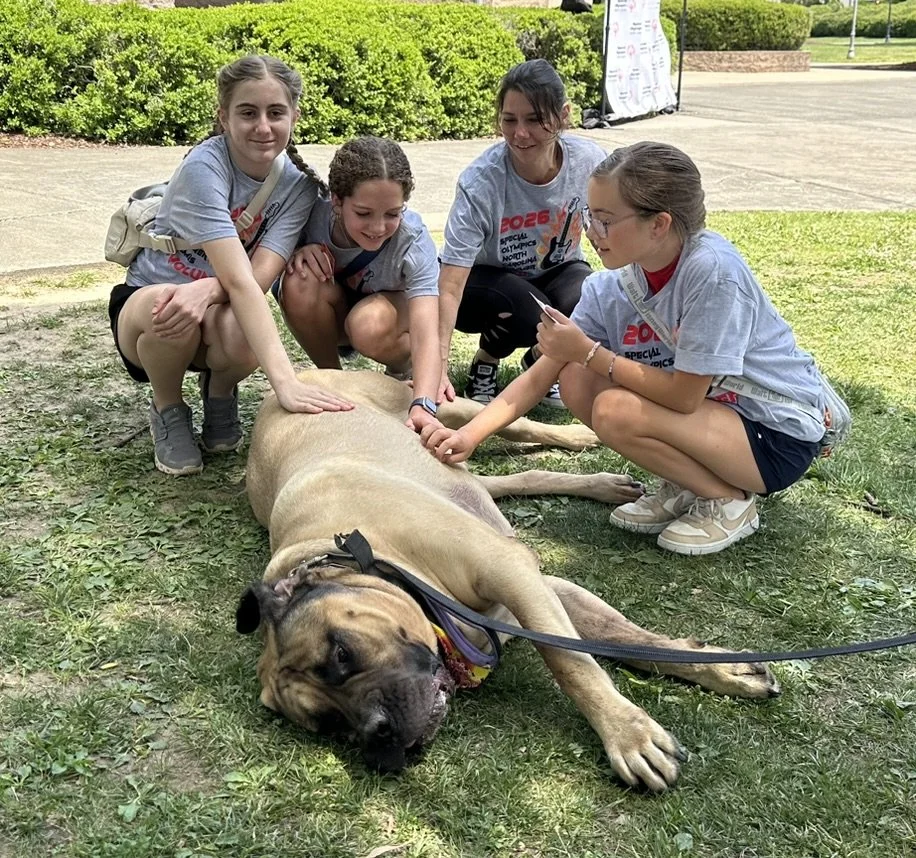 Four young girls petting a large tan dog lying on the grass outdoors.